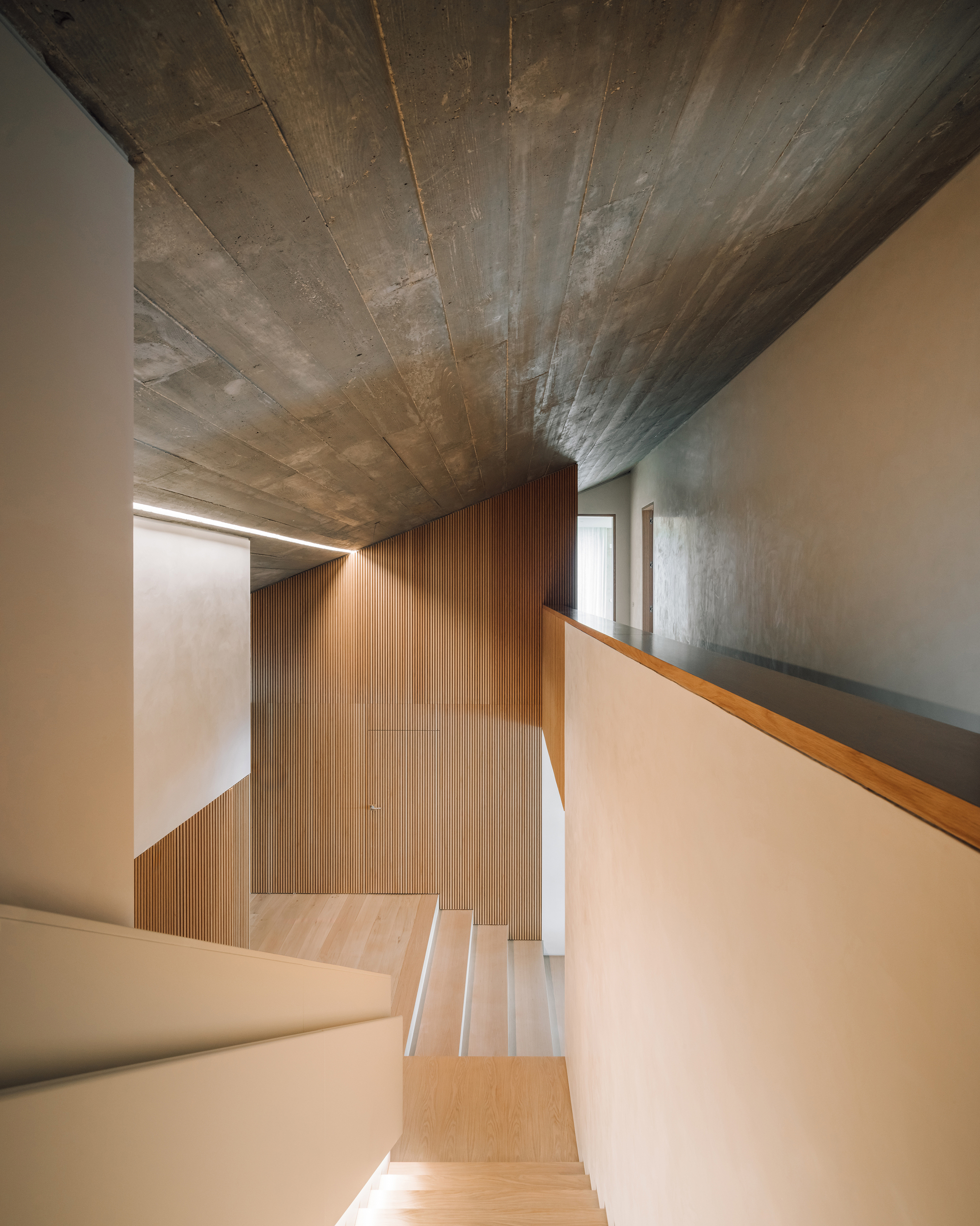 Stairwell with exposed concrete ceiling, pale plywood treads and vertical timber cladding lit by afternoon sun