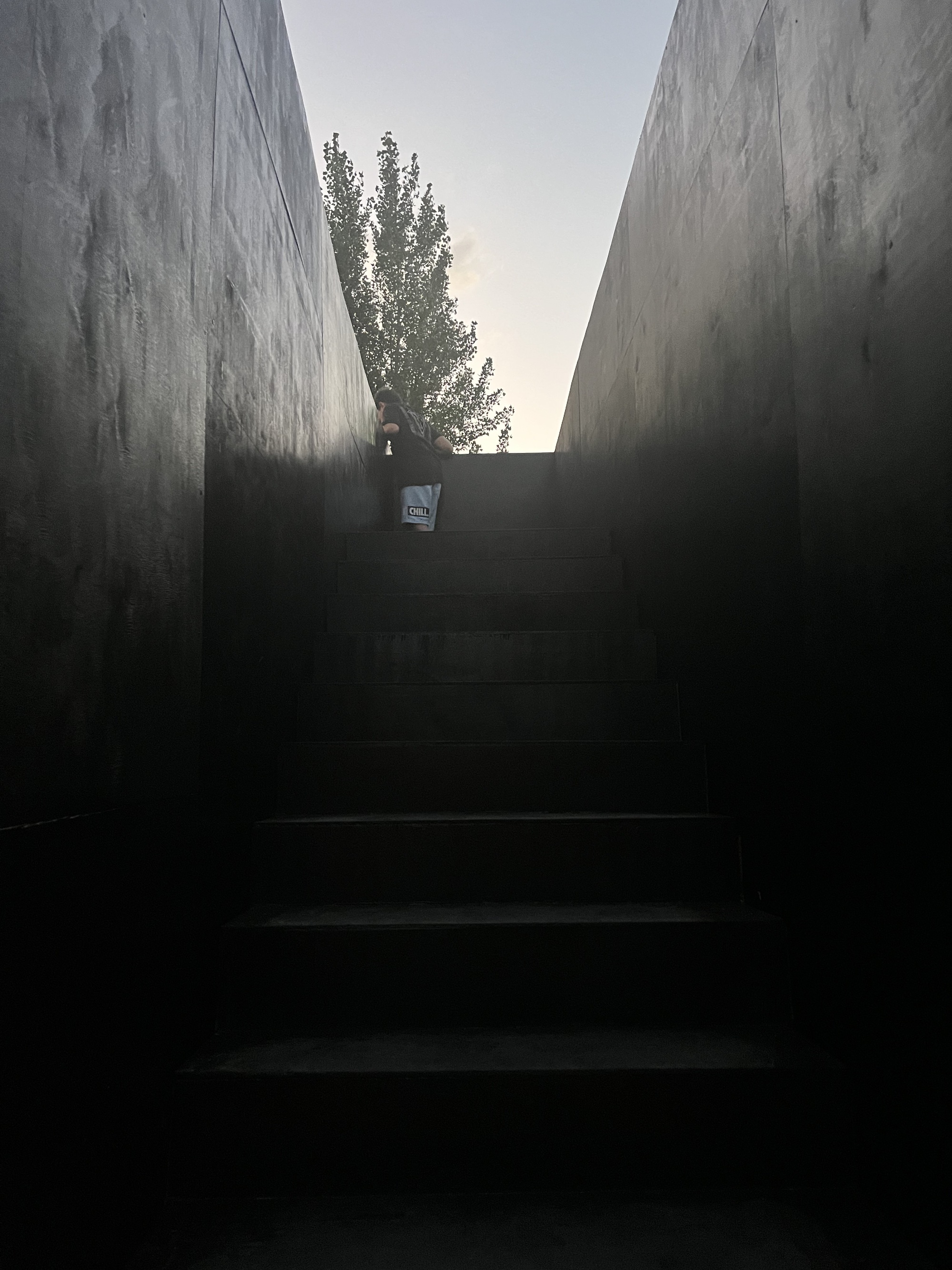 Staircase ascending between tall concrete walls with a lone figure and tree visible at the top