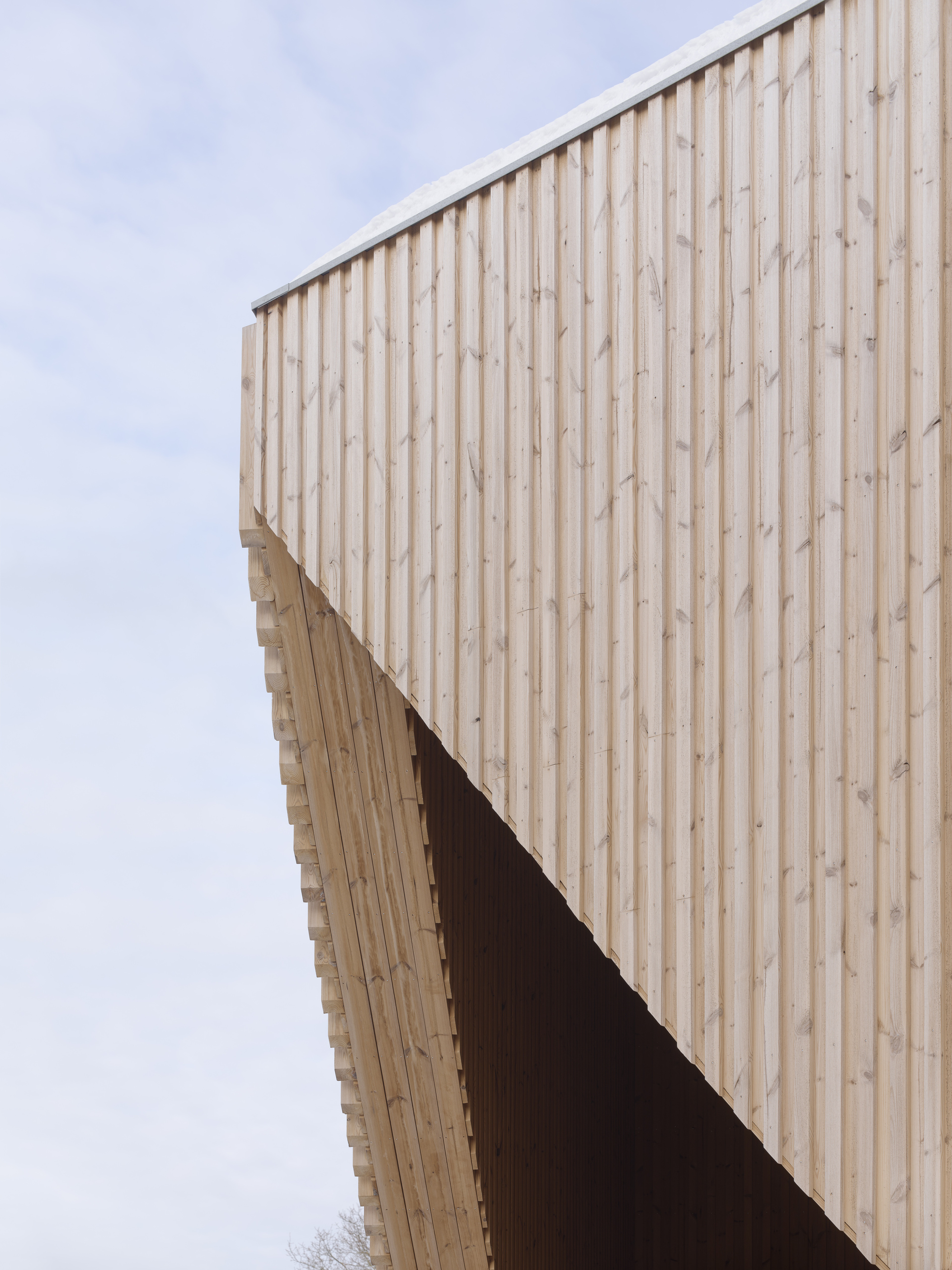 Vertical timber cladding wrapping the angled facade against an overcast winter sky