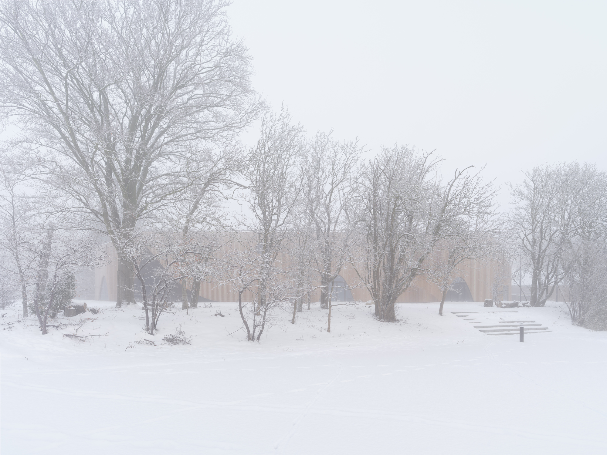 Distant view of the low-slung beige brick structure amid bare winter trees in heavy snow and fog