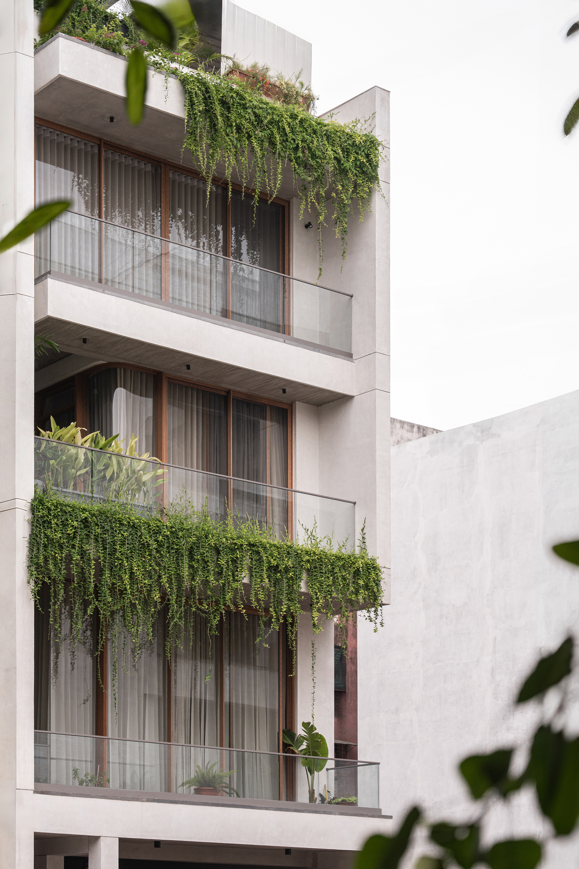 Street-facing facade with stacked balconies, timber screening and cascading greenery between floors