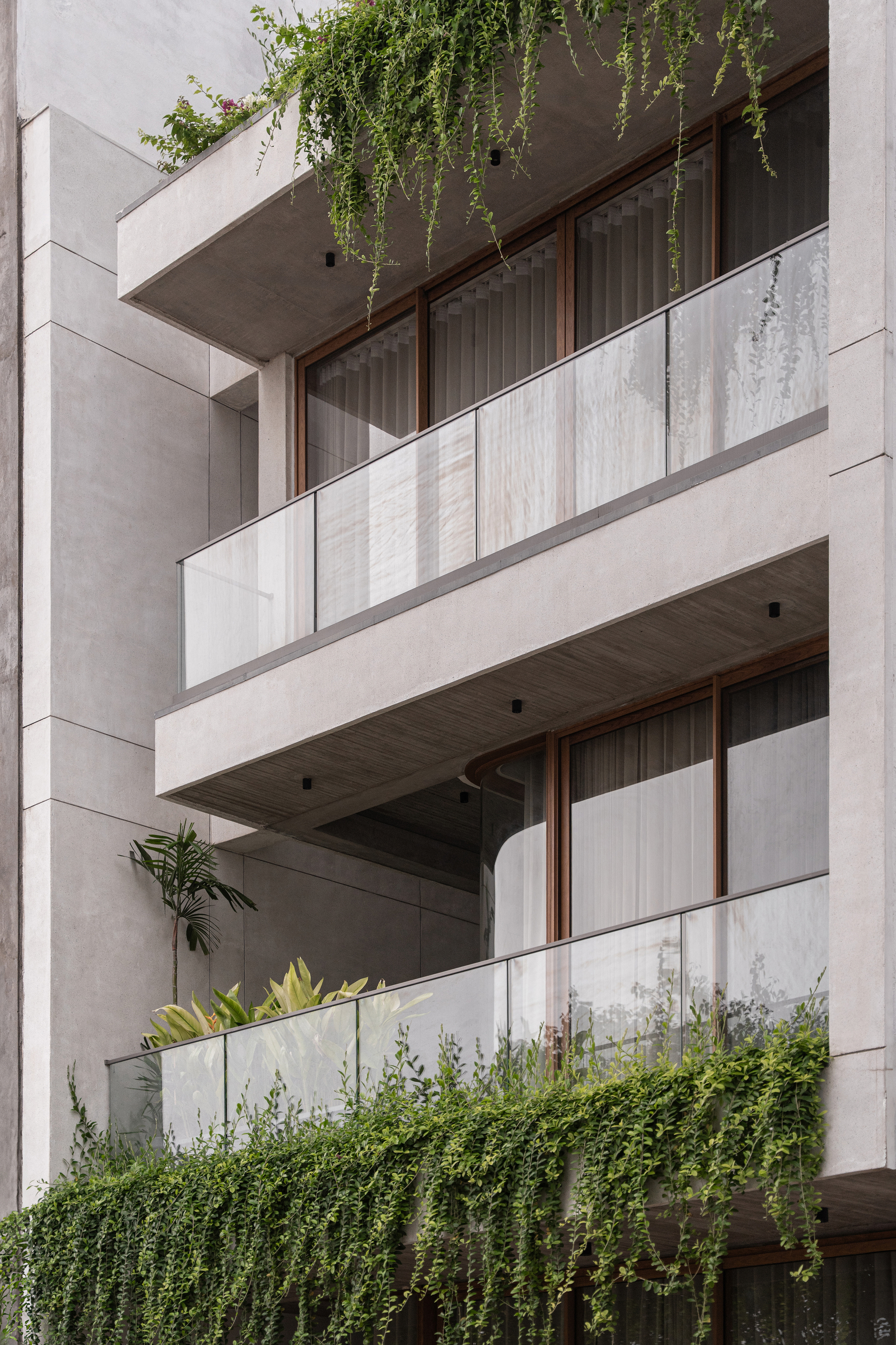 Concrete balconies with glass railings, timber screens and trailing plants above each terrace
