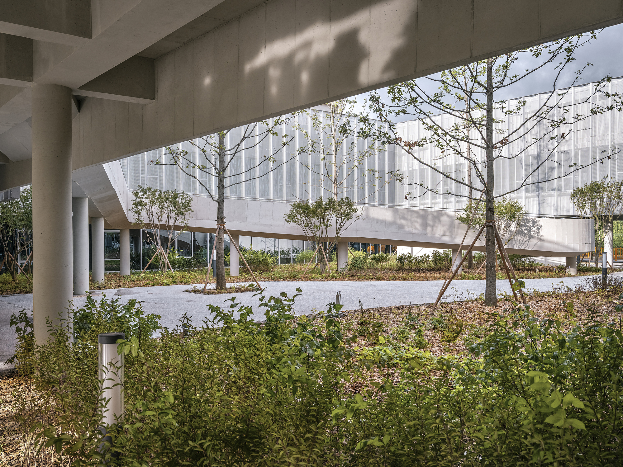 Covered walkway with cylindrical columns framing young trees and planted beds beneath concrete beams