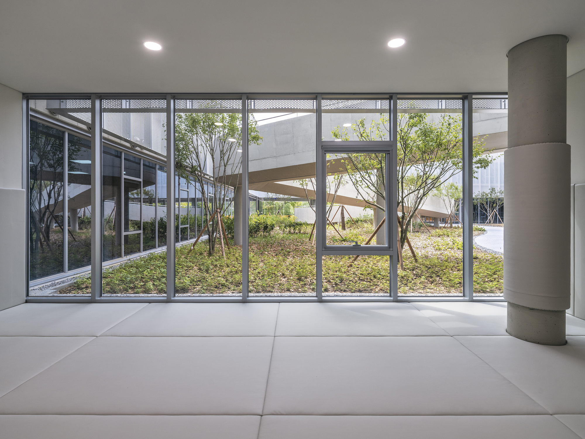 Glazed wall framing a view into the landscaped courtyard with young trees and planted beds