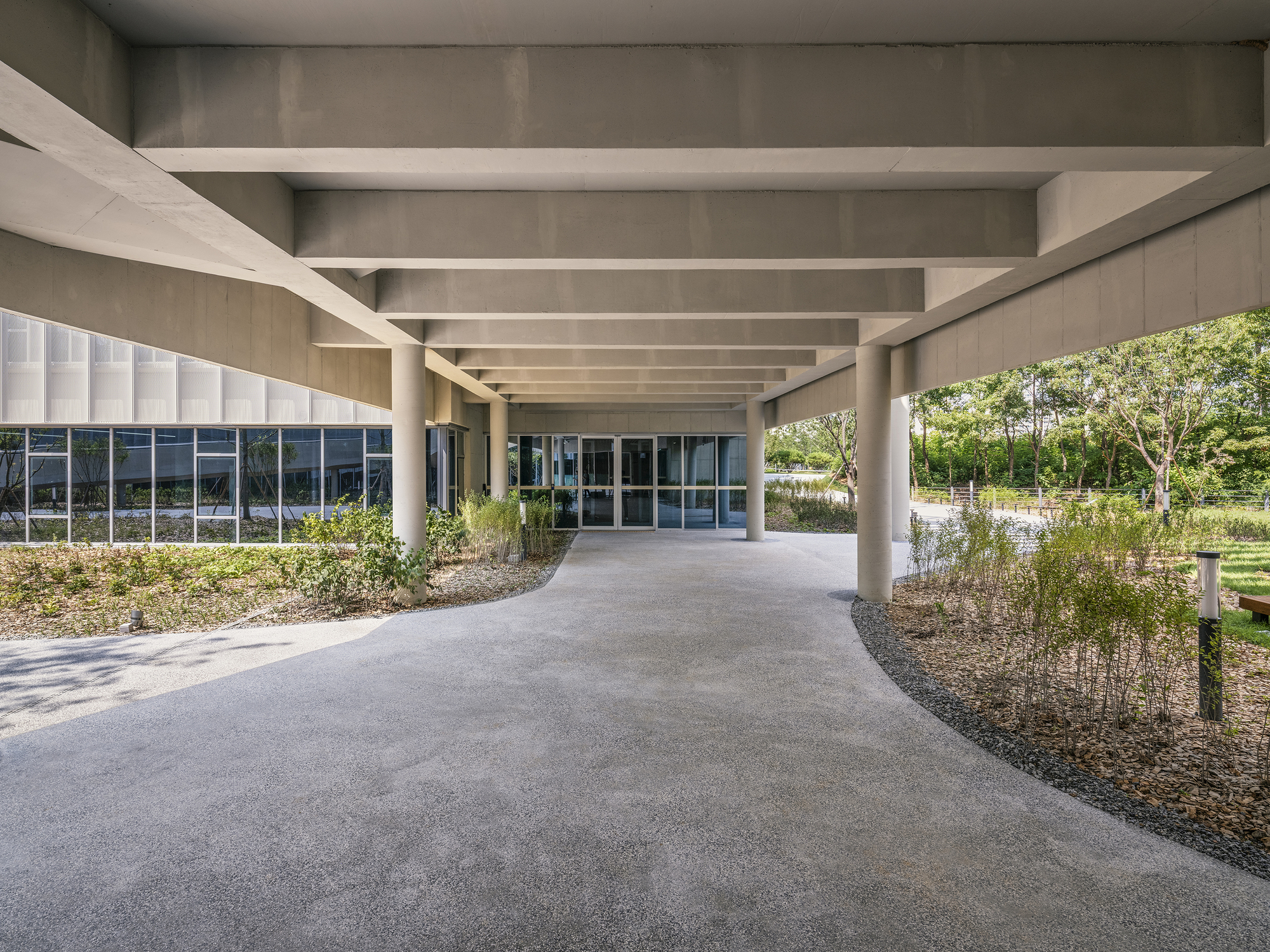 Entry portico with concrete beams sheltering the curved path and planted gravel beds beside glass doors