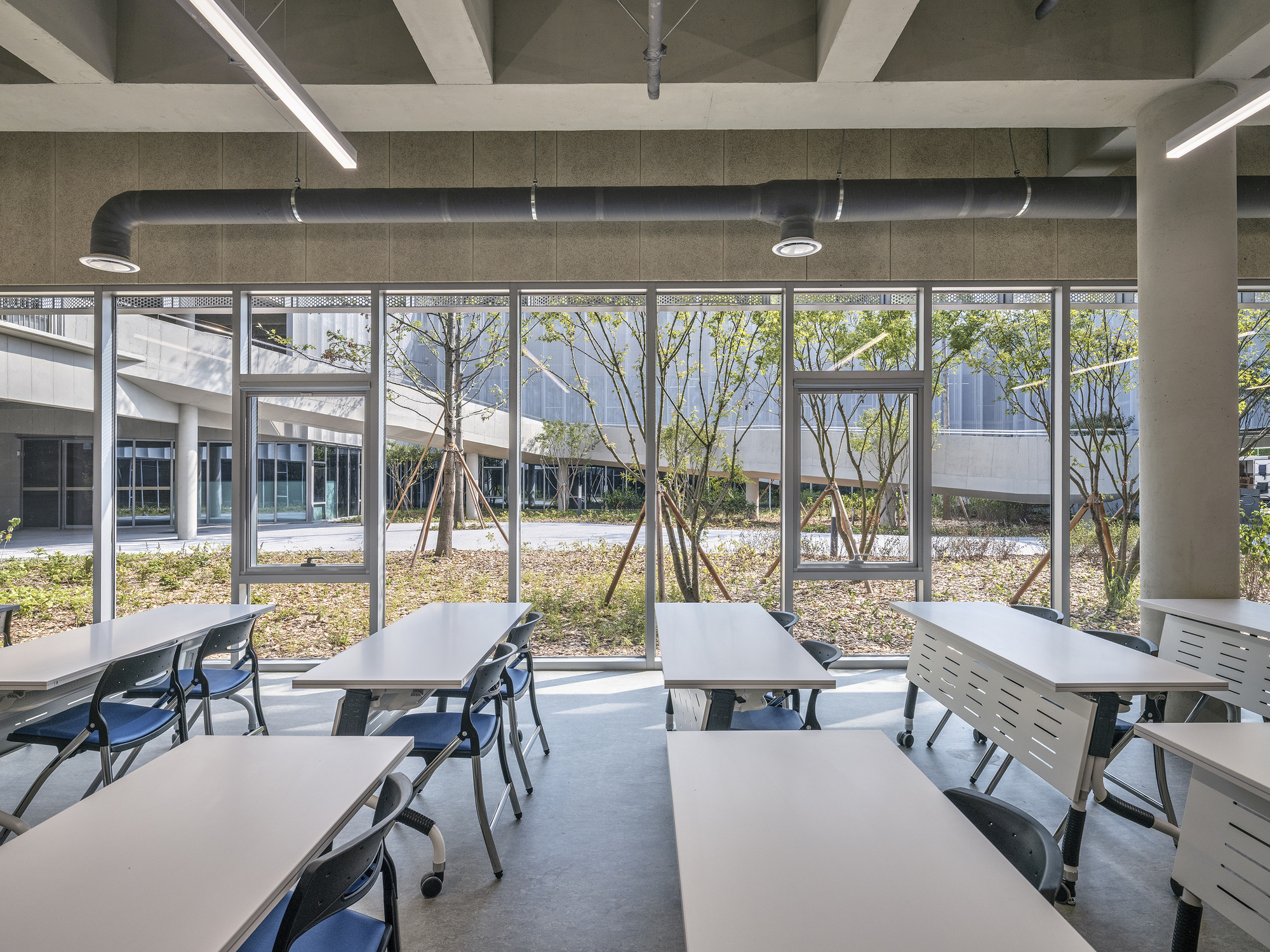 Study room with white tables facing floor-to-ceiling windows overlooking a landscaped courtyard