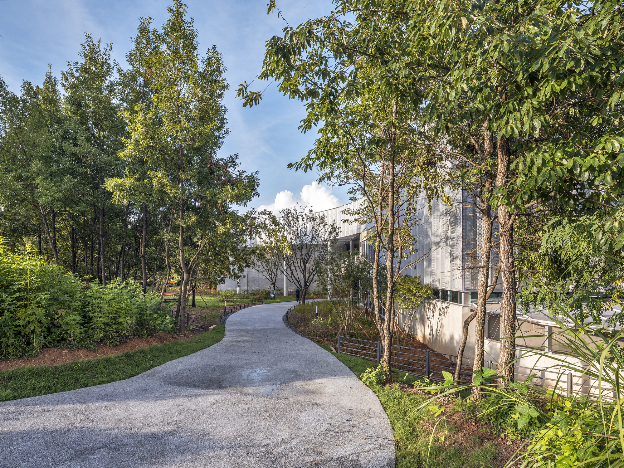 Curved pathway through planted landscape with young trees leading toward the concrete building volume