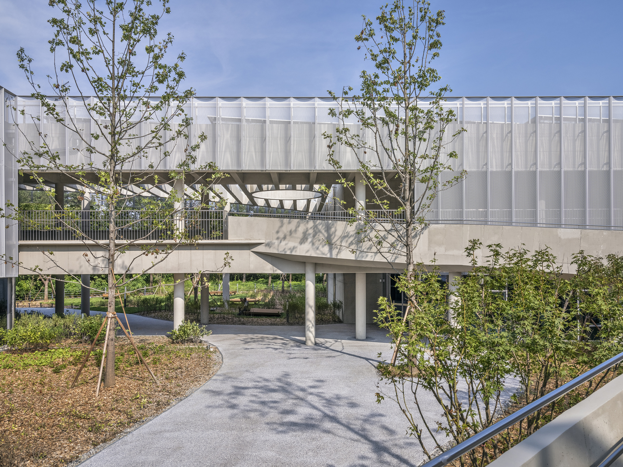 Elevated bridge connecting building volumes over a landscaped ground plane with young trees and dappled shadows