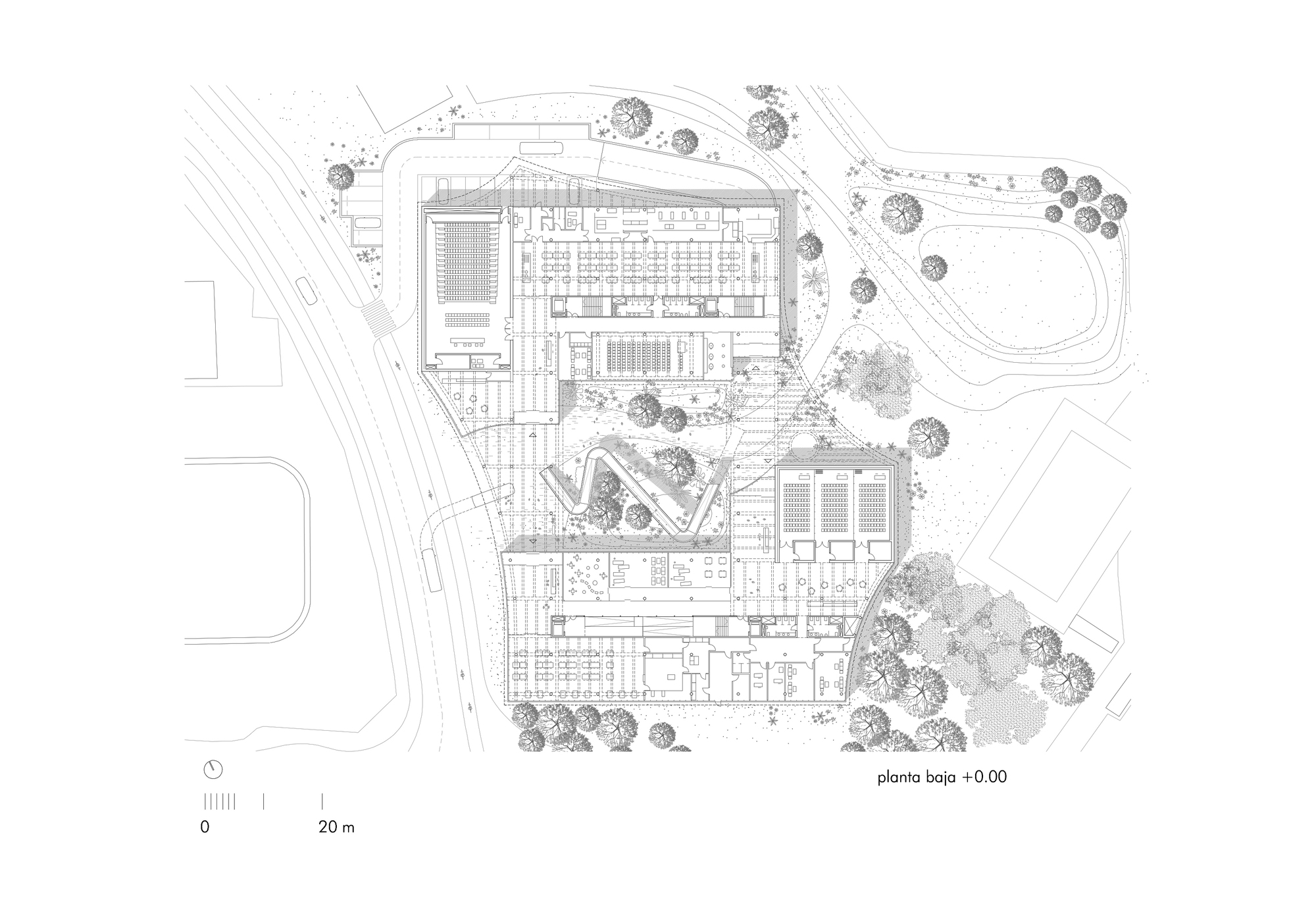 Ground floor plan drawing showing angular building volumes with landscaped areas and tree plantings
