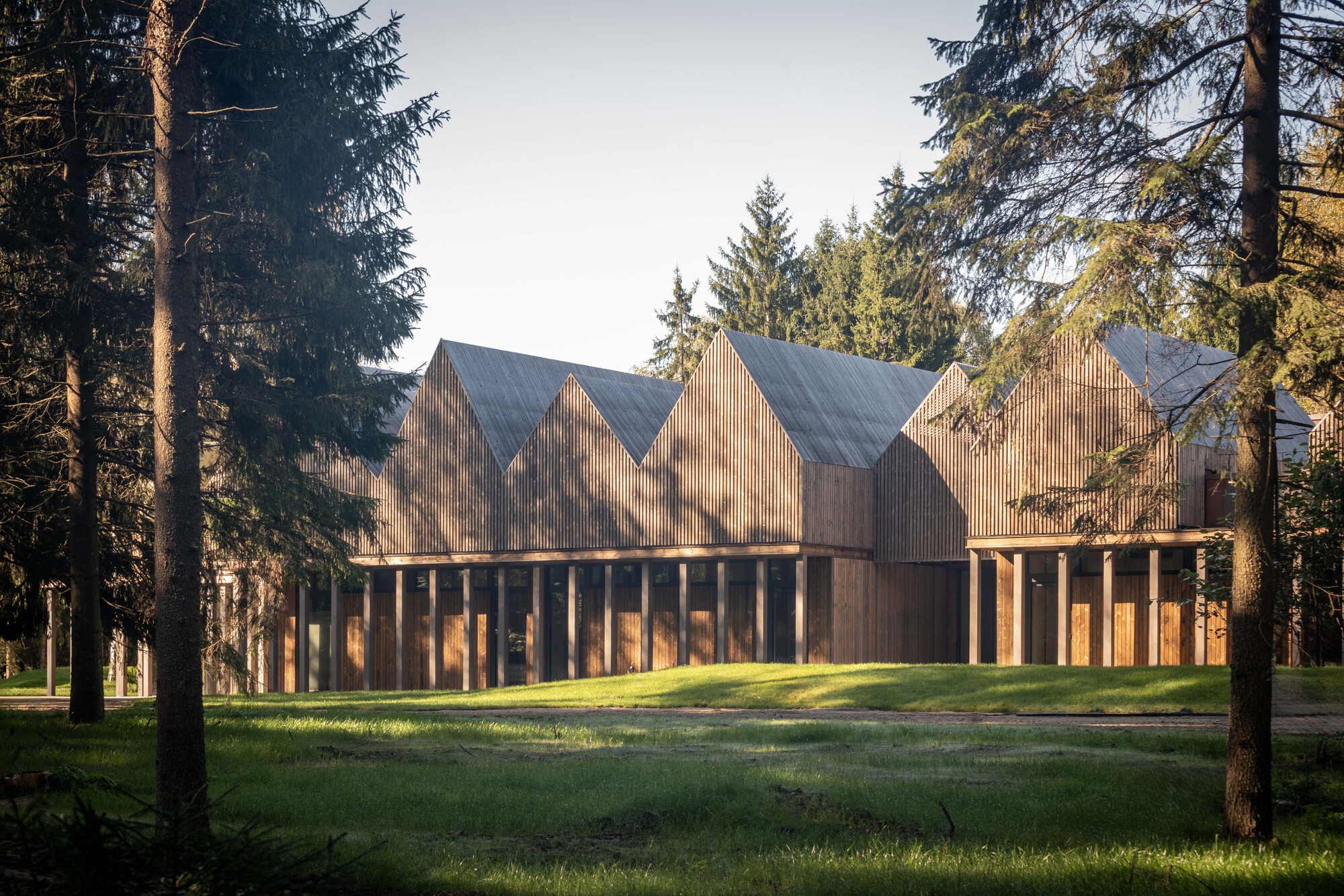 Timber-clad cluster of gabled volumes with colonnade base in a clearing among tall evergreens
