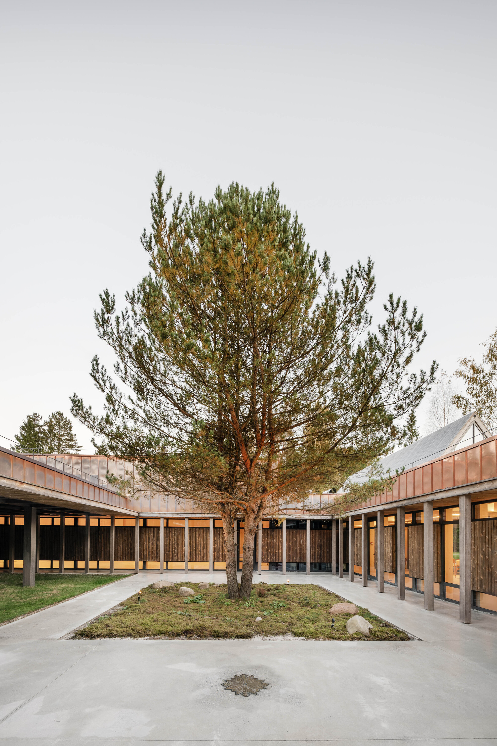 Central courtyard with concrete paving and a lone pine tree under overcast skies