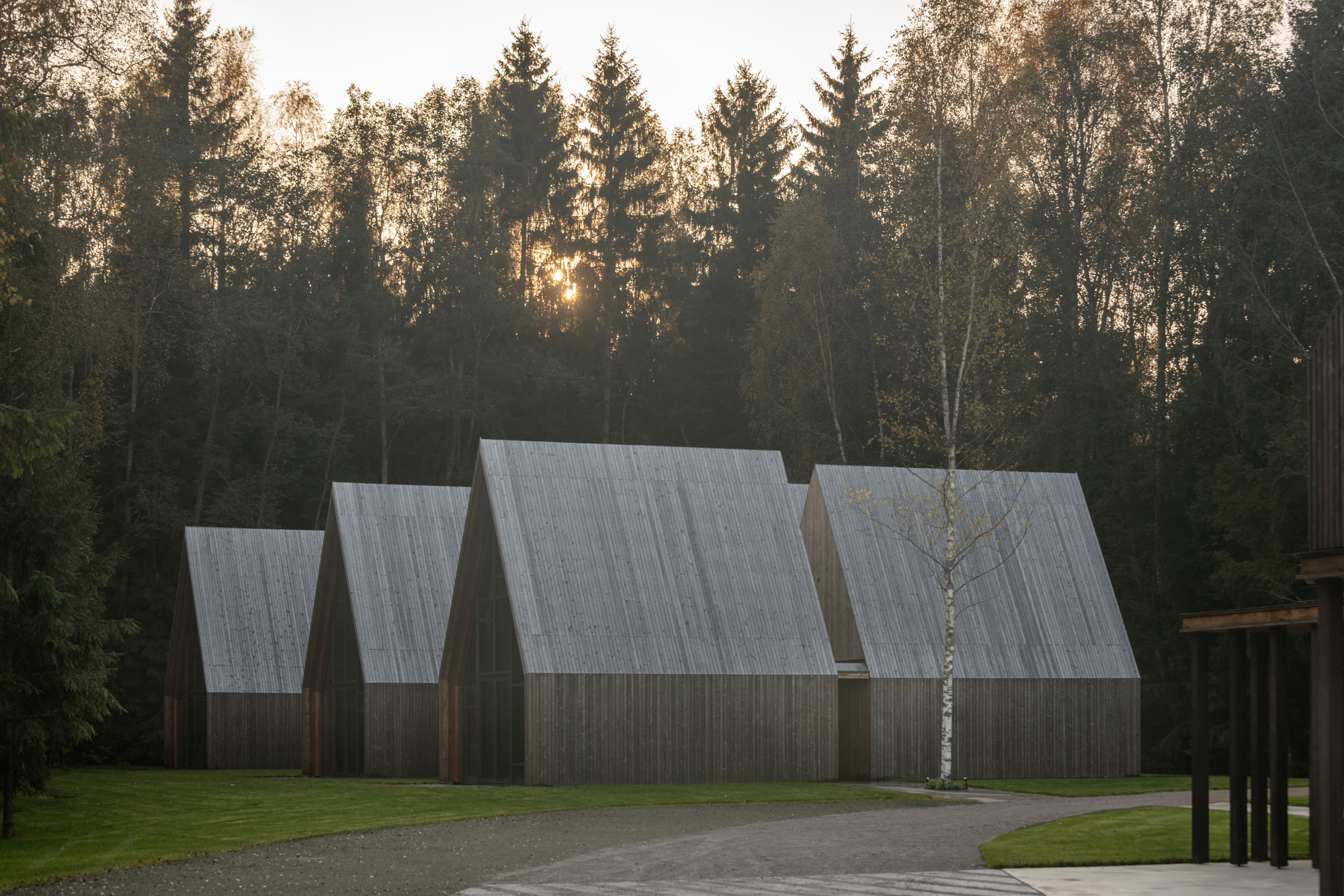 Three gabled volumes with corrugated metal roofs arranged in sequence at dusk with birch trees