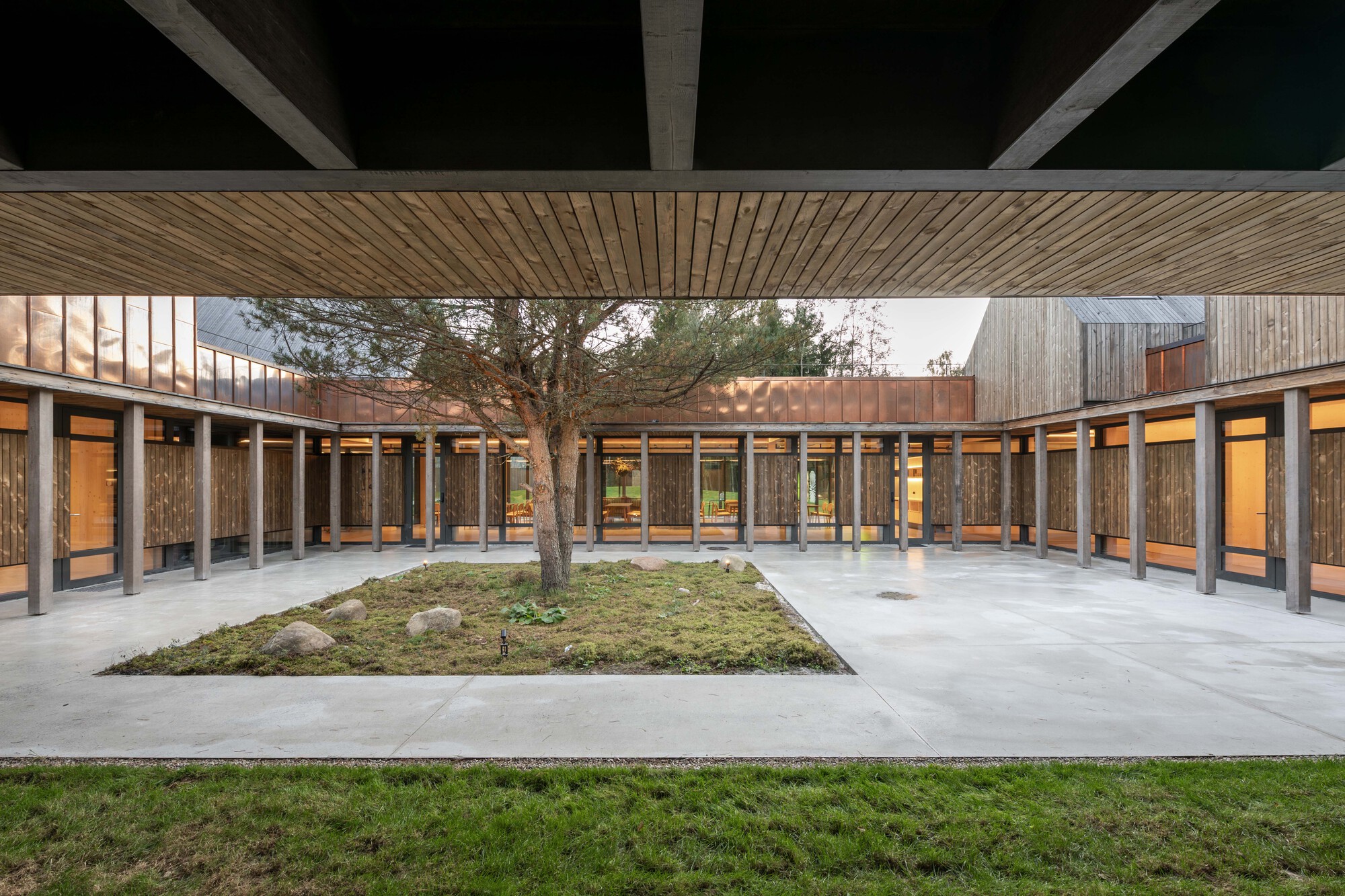 Enclosed courtyard with central planted bed and tree under exposed timber ceiling beams at twilight