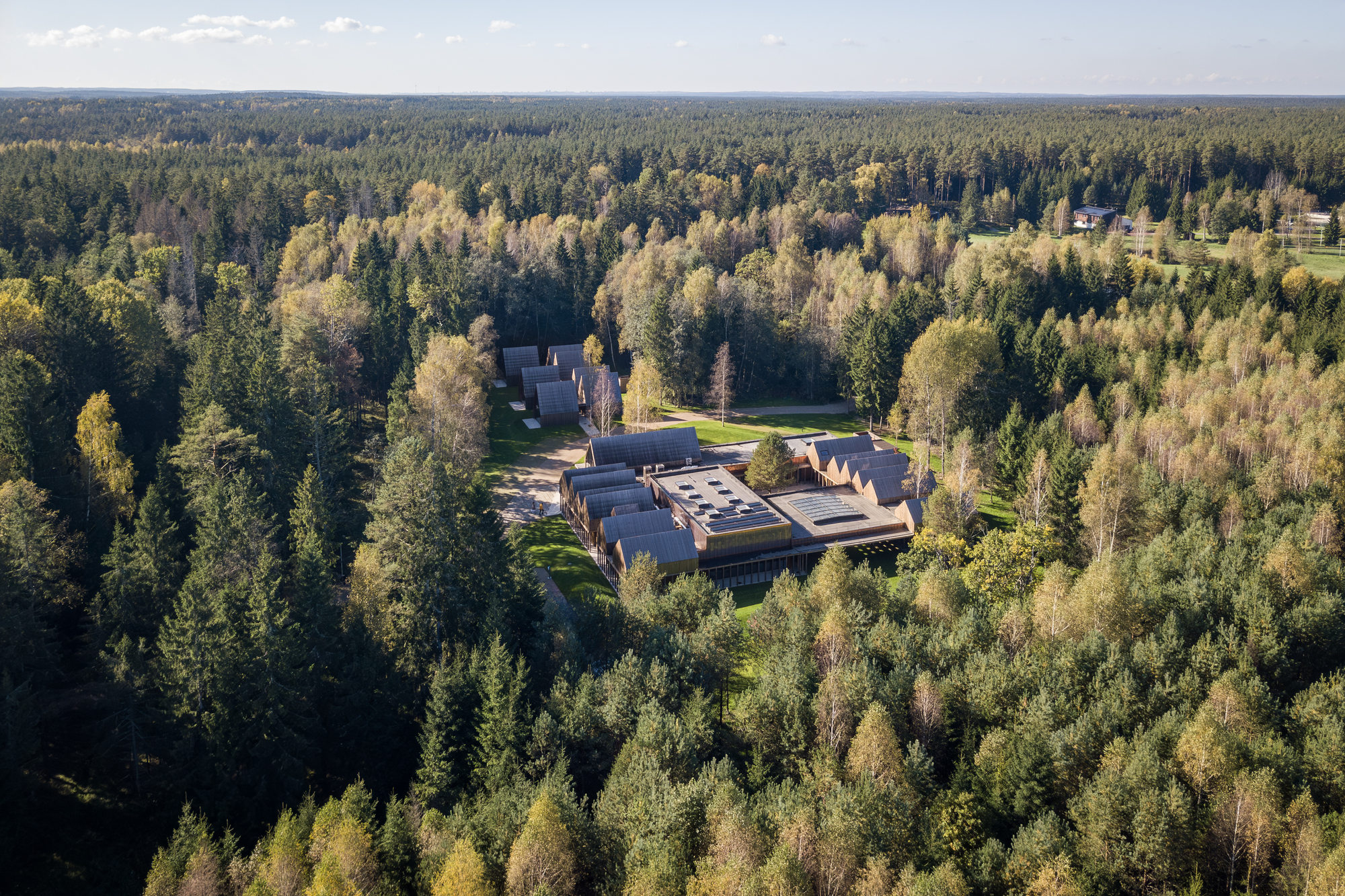 Aerial view of clustered flat-roof volumes nestled in a dense forest of conifers and birch trees