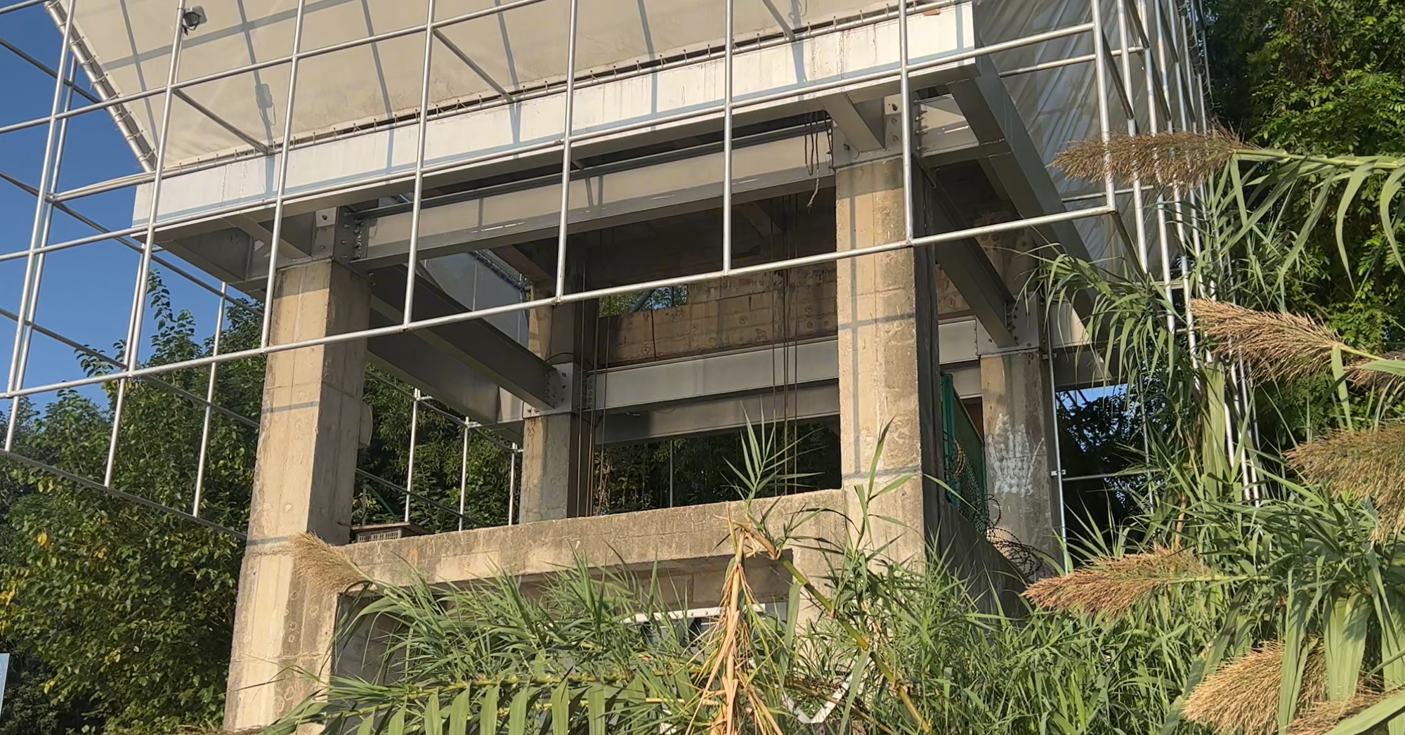 Ground-level view through the steel framework showing timber structural elements and wild grasses in the foreground