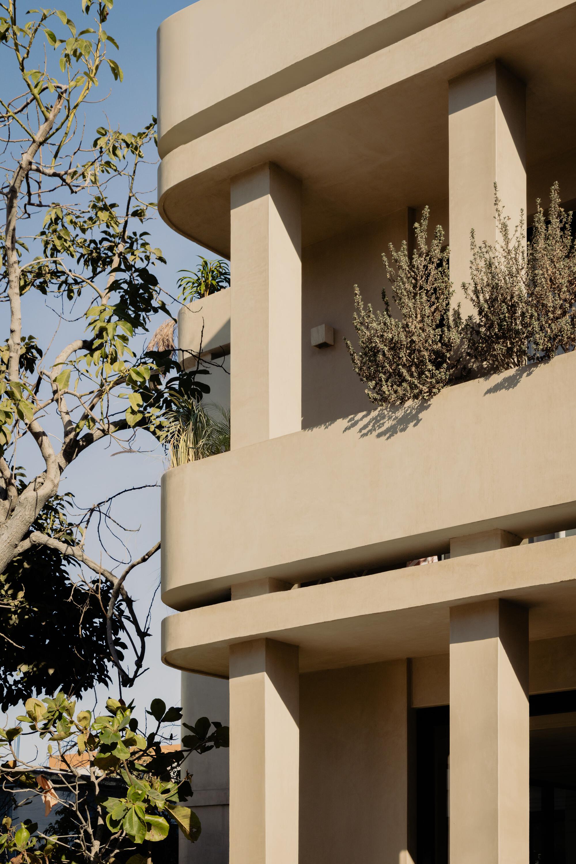 Curved stucco balconies with planted grasses beside a deciduous tree in warm sunlight