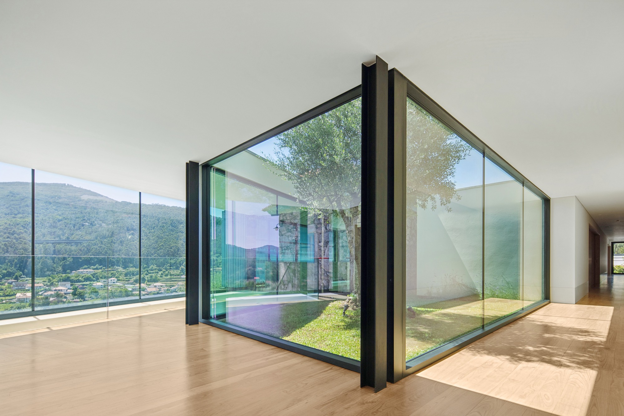 Interior corridor with floor-to-ceiling glass courtyard enclosing olive tree and lawn under open sky