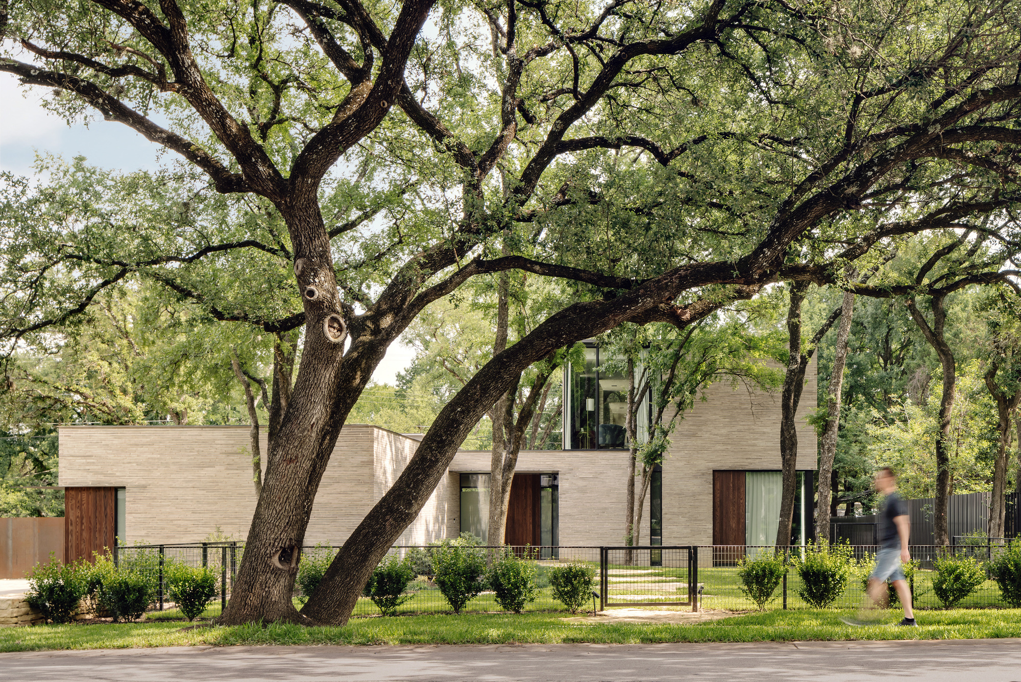 Street view of the horizontally banded stone facade with timber panels beneath mature oak trees