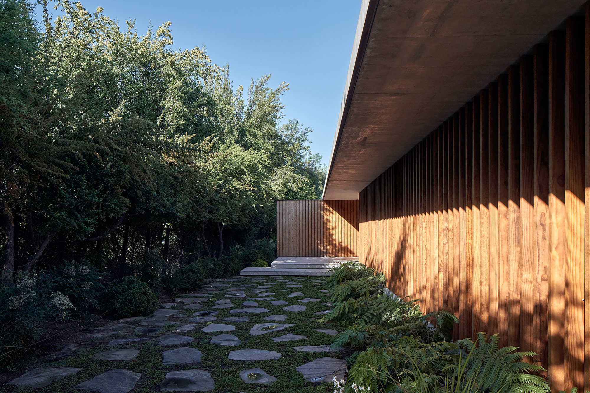 Stone pathway alongside vertical timber cladding illuminated by afternoon sunlight filtering through trees
