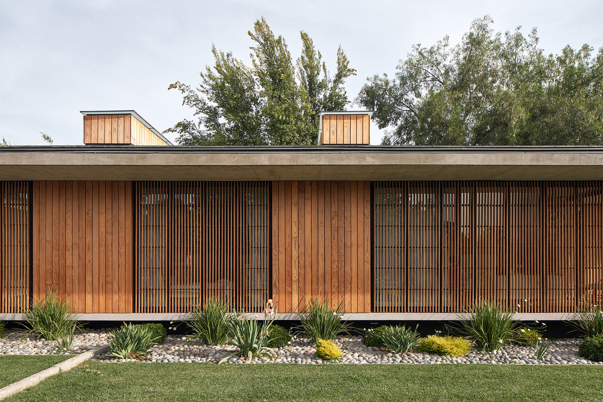 Vertical timber slat facade with concrete canopy above a gravel bed planted with grasses
