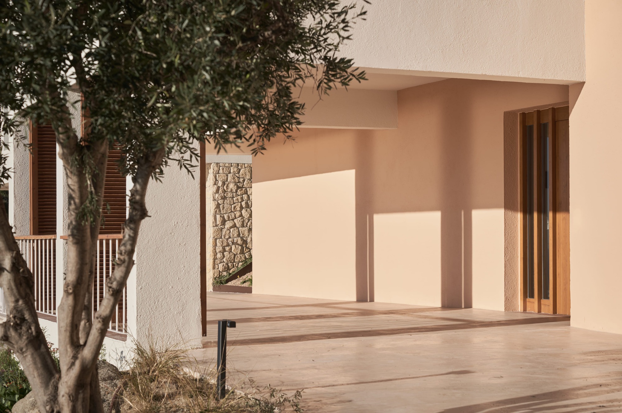 Covered terrace with timber screen door and olive tree casting shadows in afternoon sunlight