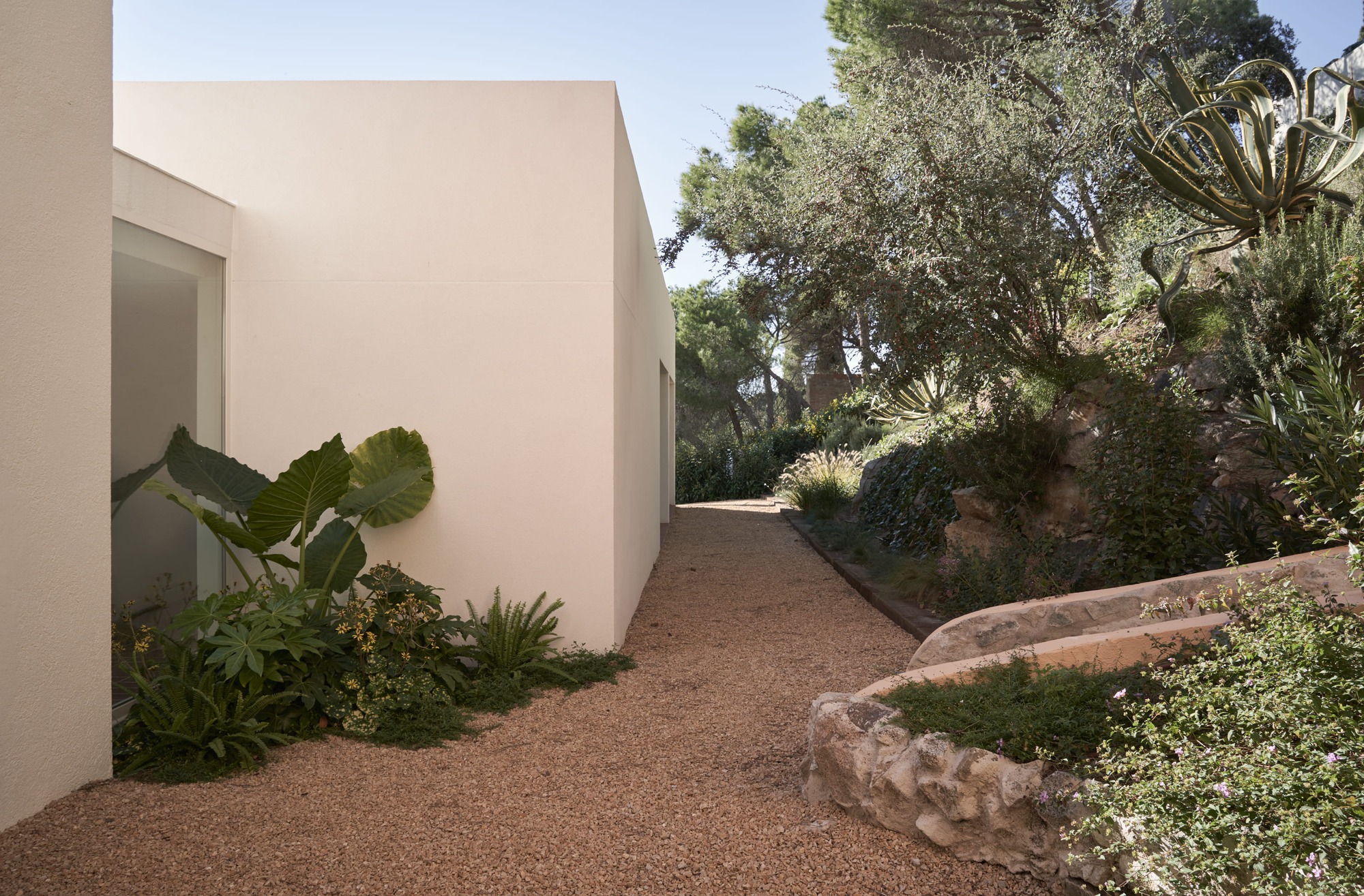 Gravel pathway winding past white stucco walls with tropical plantings and stone retaining wall