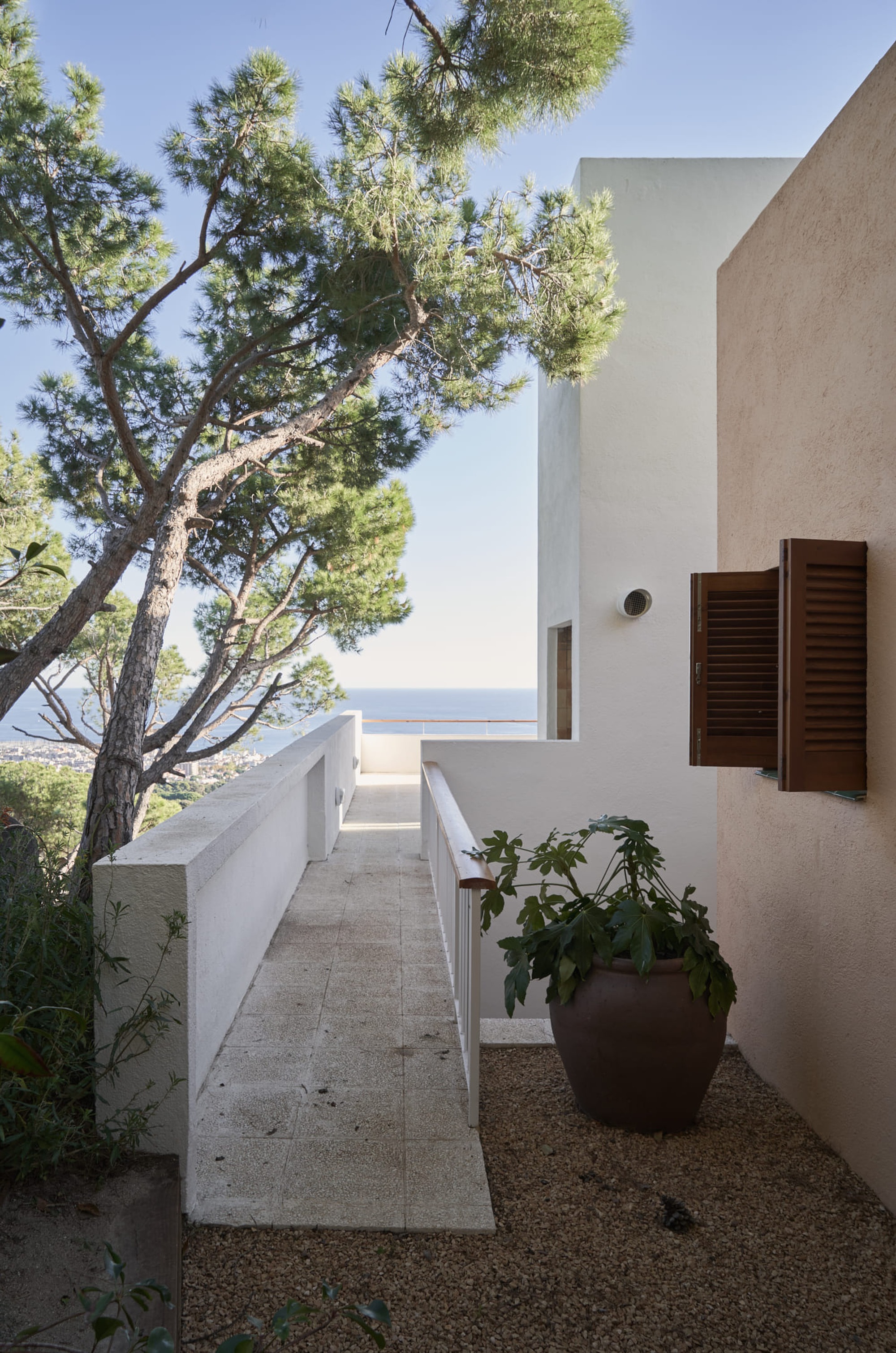 Exterior stairway ascending between white stucco walls with a potted plant and leaning pine tree