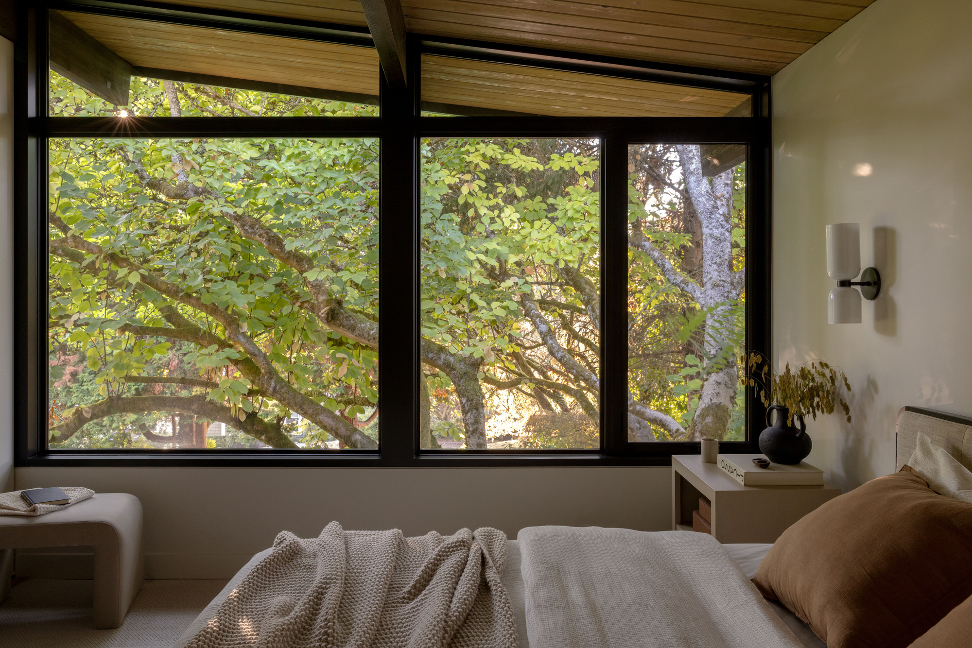 Bedroom window wall with dark frames looking out to oak branches in afternoon light