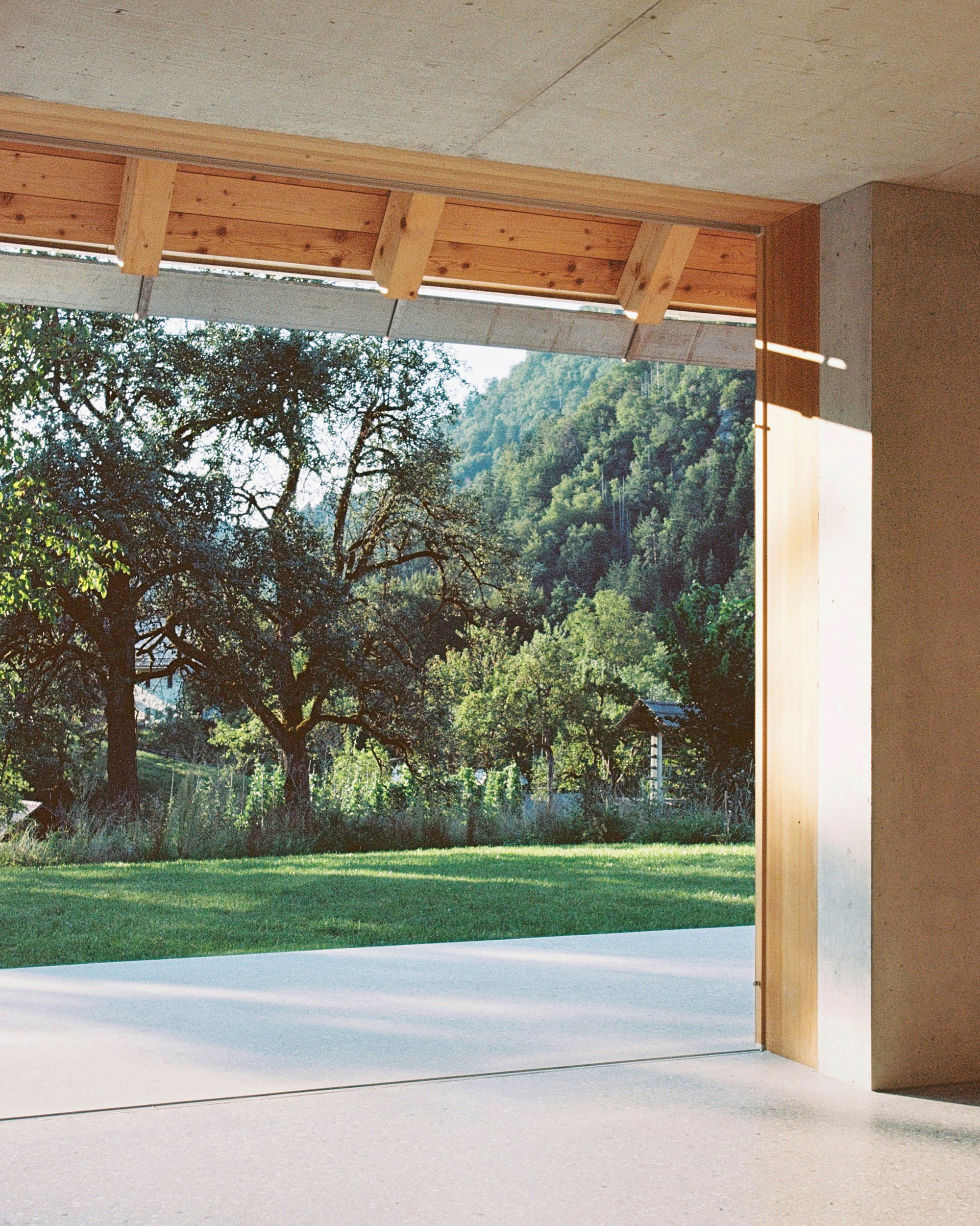 Interior view through the timber-lined soffit opening to the lawn and forested hillside beyond