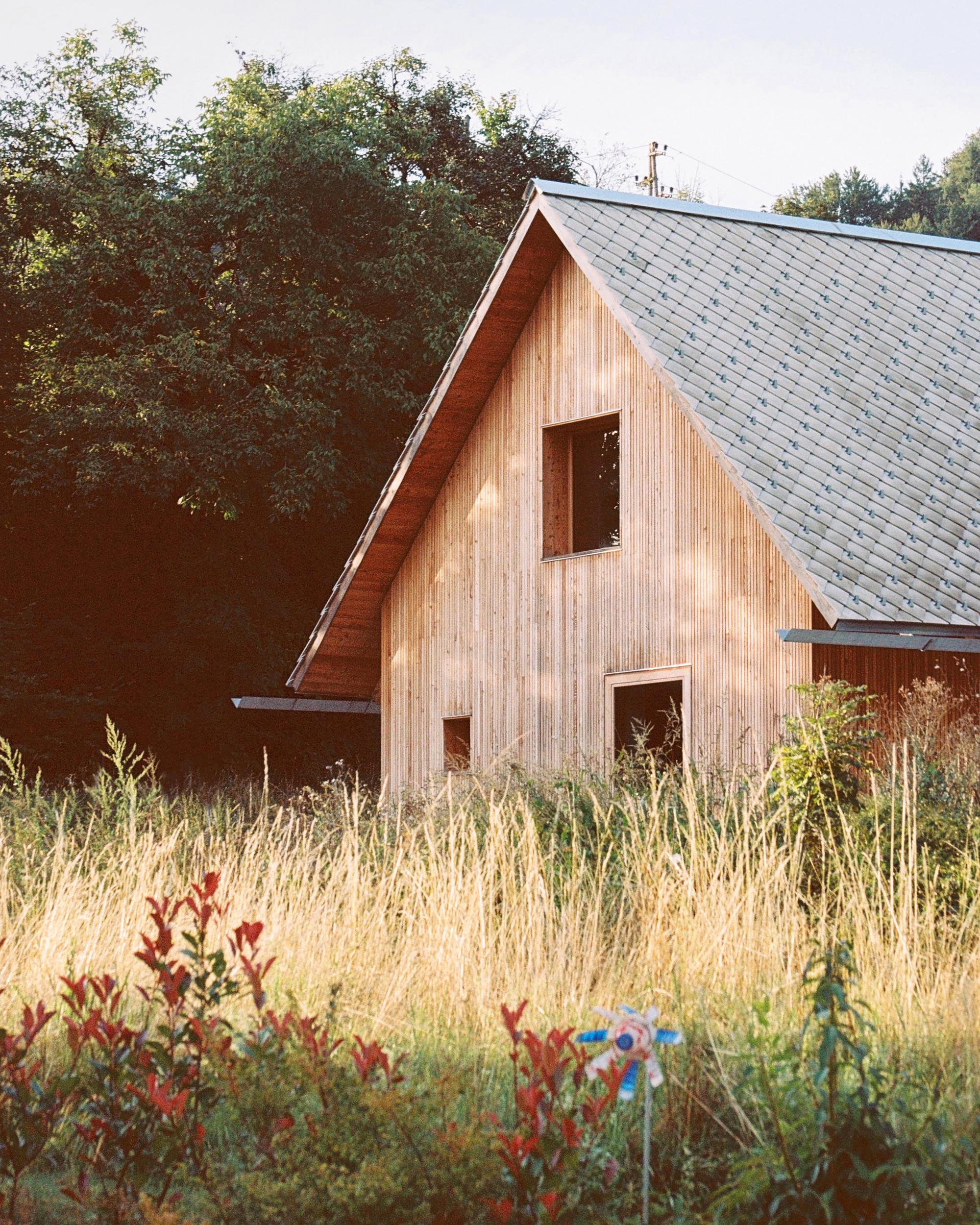 Gable volume with vertical wood siding and shingled roof emerging from tall golden grasses in autumn