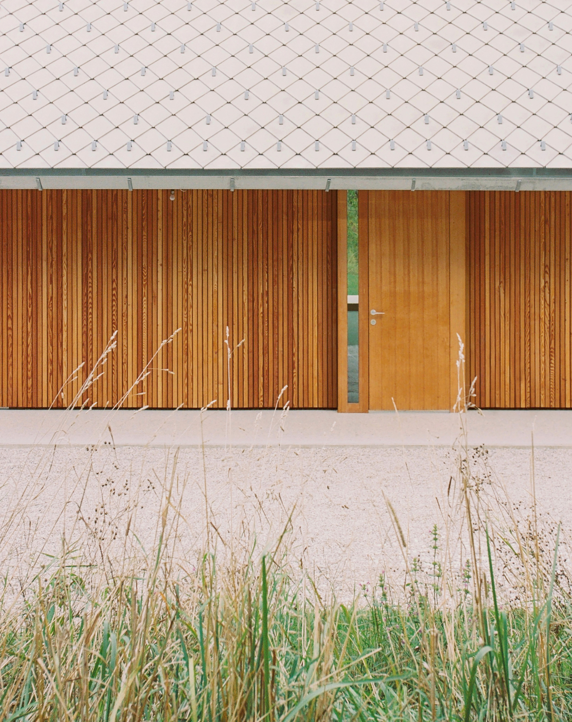 Timber-clad facade with flush door below grey shingled roof and concrete base edged by dry grasses