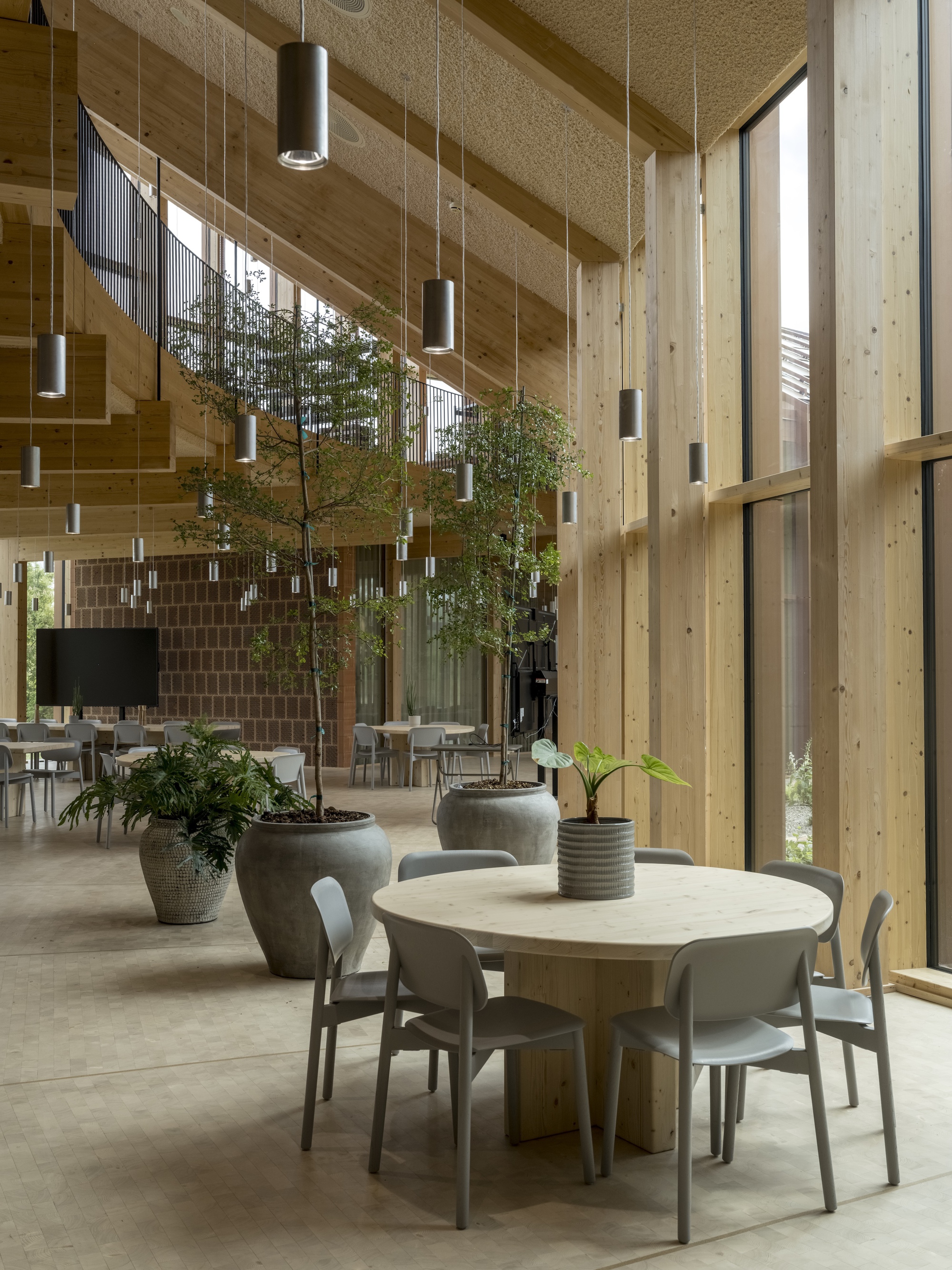 Interior dining space with exposed timber structure, hempcrete ceiling panels, and cylindrical pendant lights above planters