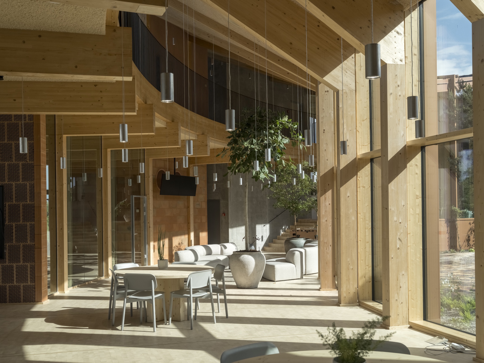 Corner seating area with sunlight casting shadows through the timber structural frame and glazed walls