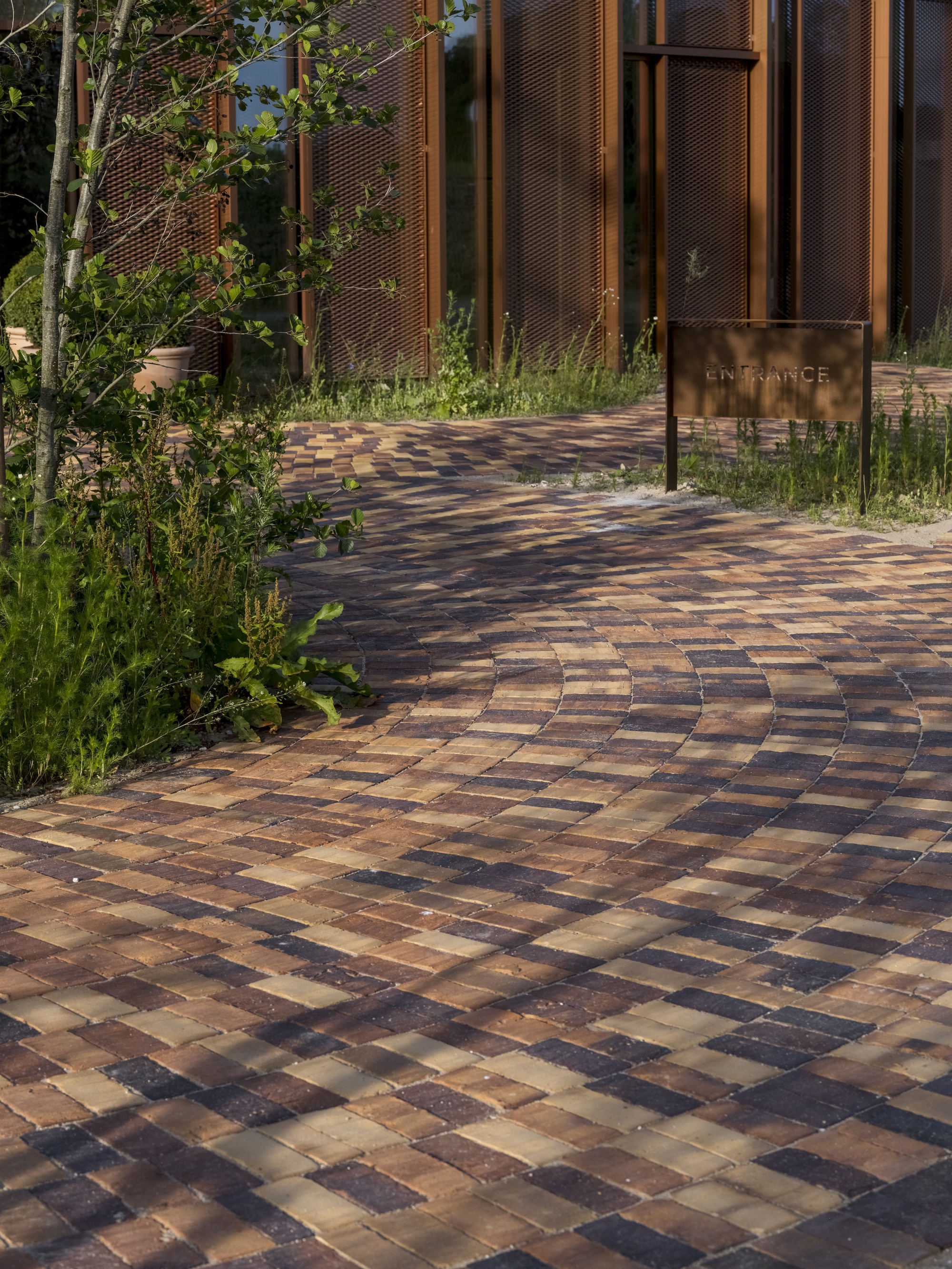 Multicolored brick paving pathway curving through planted beds with young trees at dusk