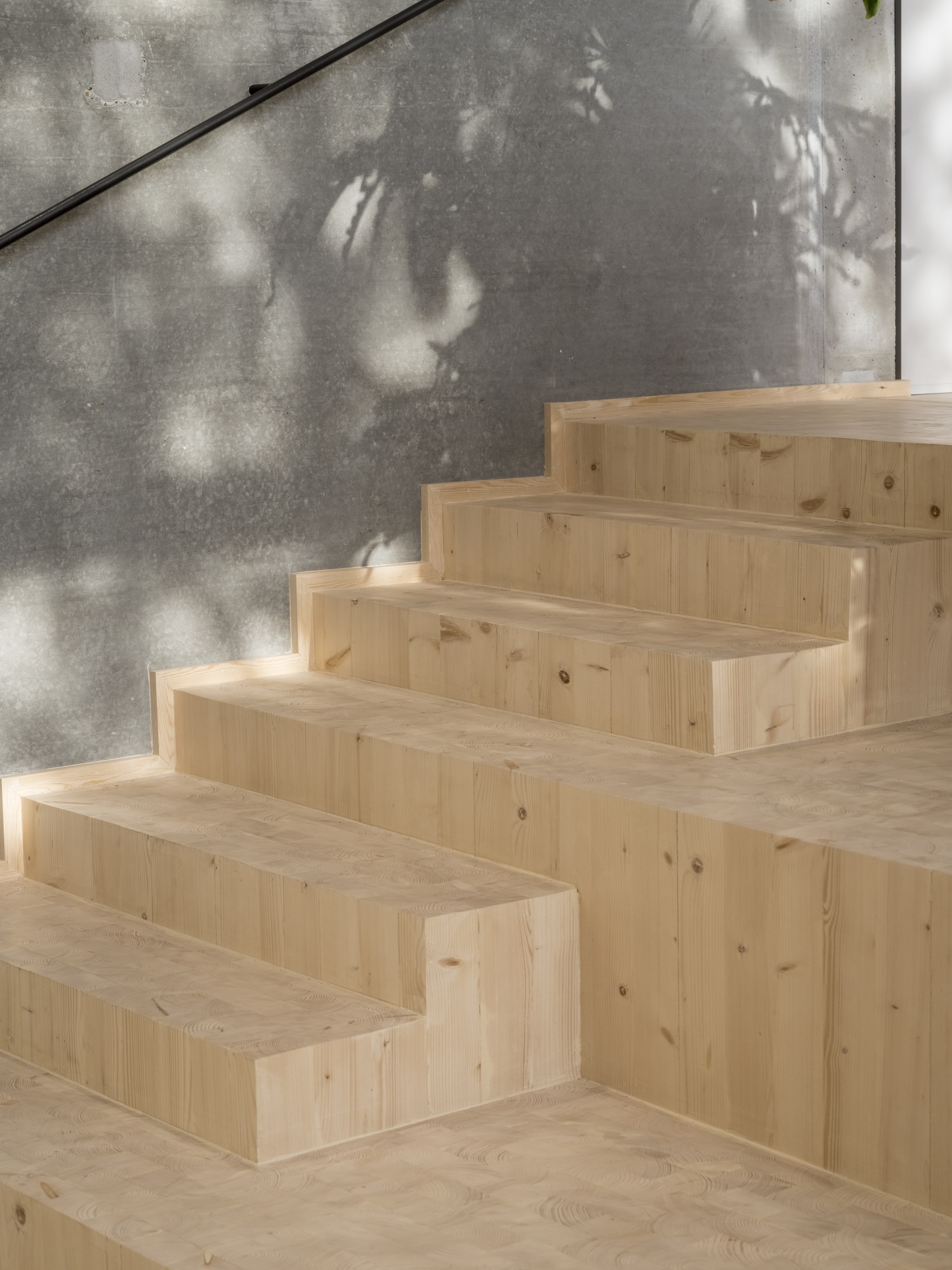 Light timber staircase with dappled shadows cast across the concrete wall behind