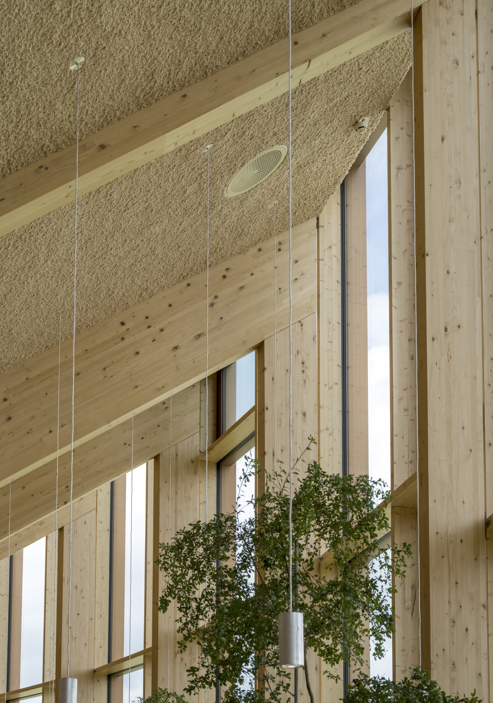 Double-height timber interior with tall windows and hanging greenery suspended from the ceiling