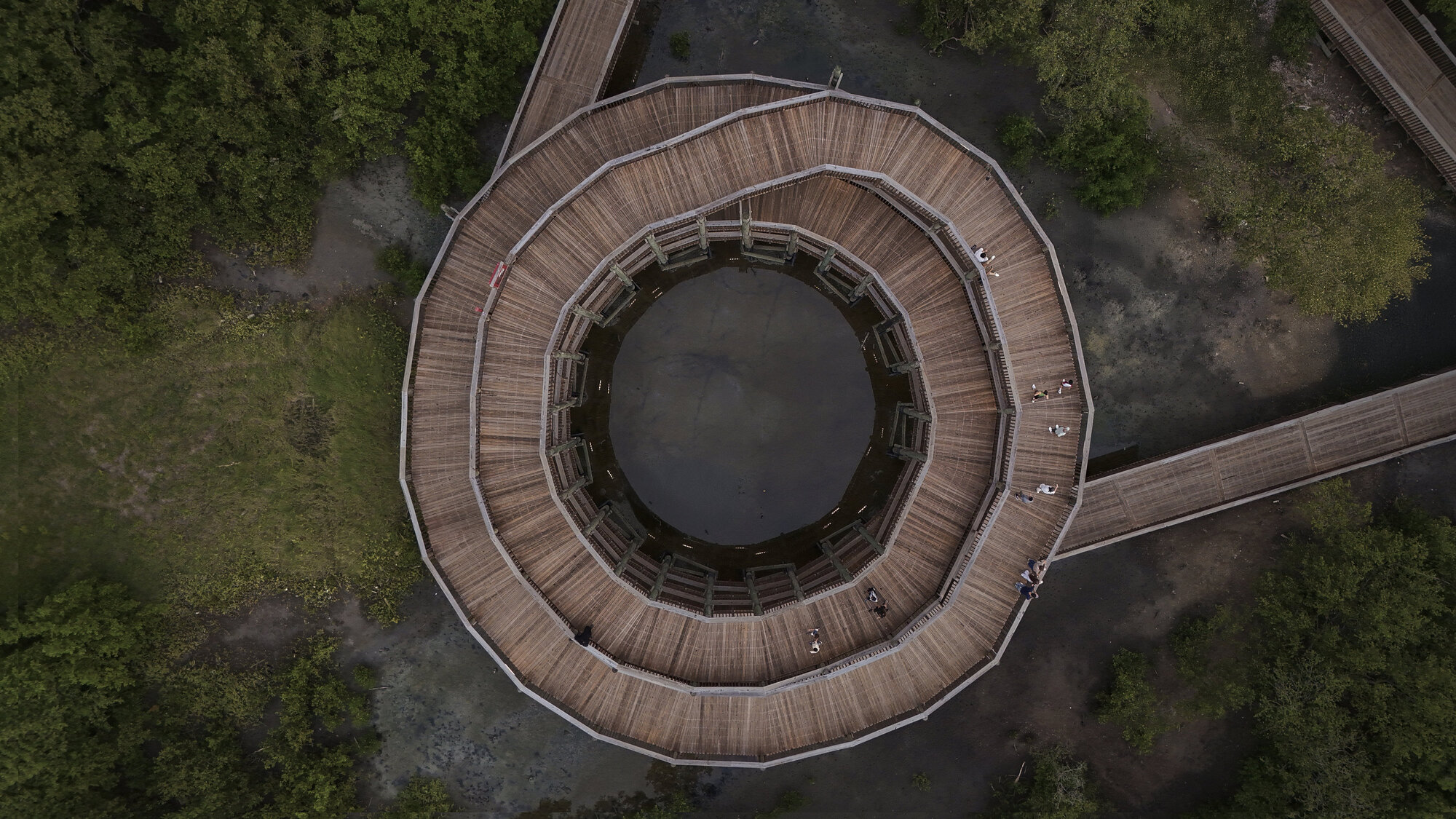 Aerial view of the circular timber observation deck with concentric walkways surrounded by wetland