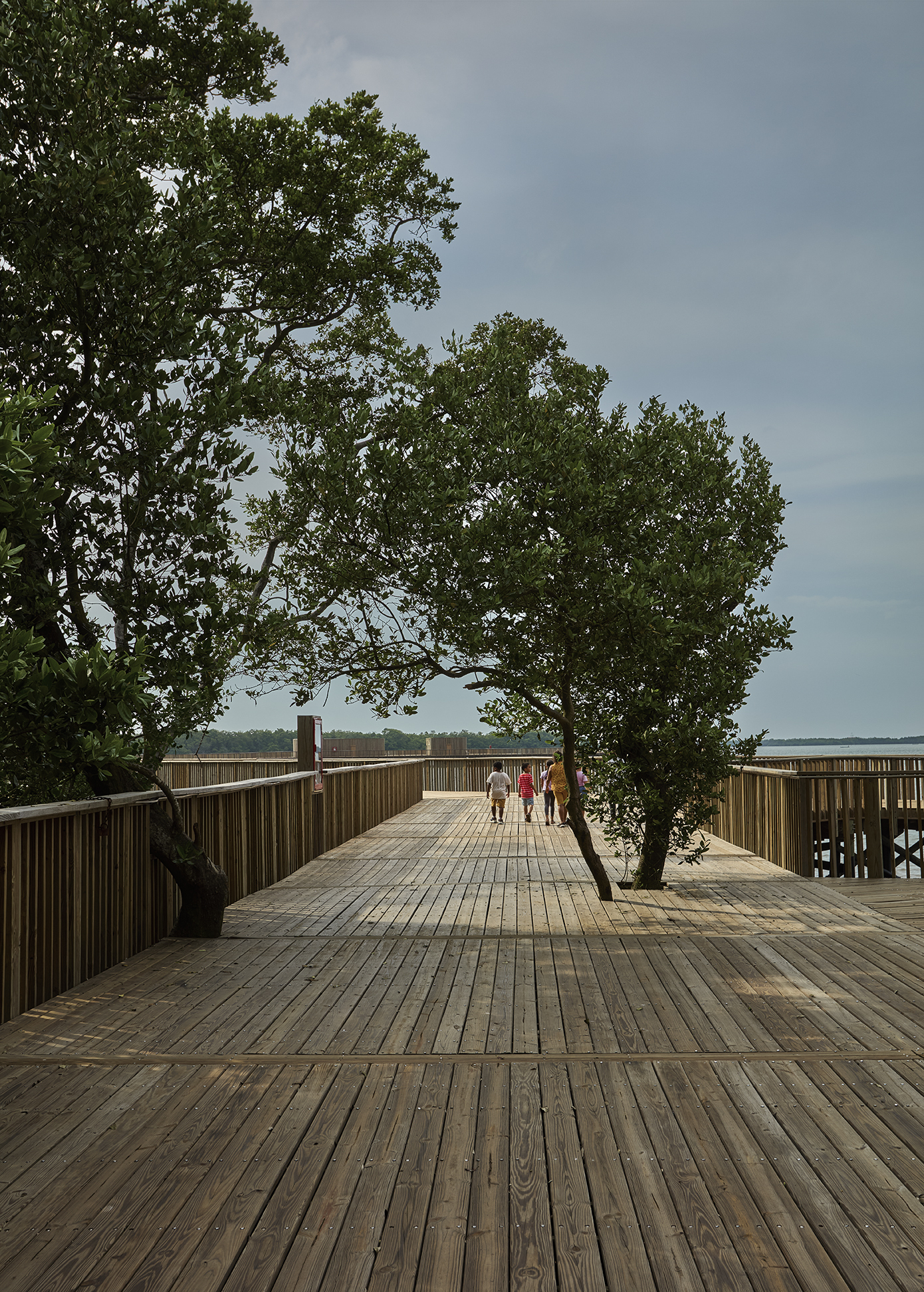 Timber boardwalk with vertical slatted railings and visitors walking beneath overhanging tree canopy