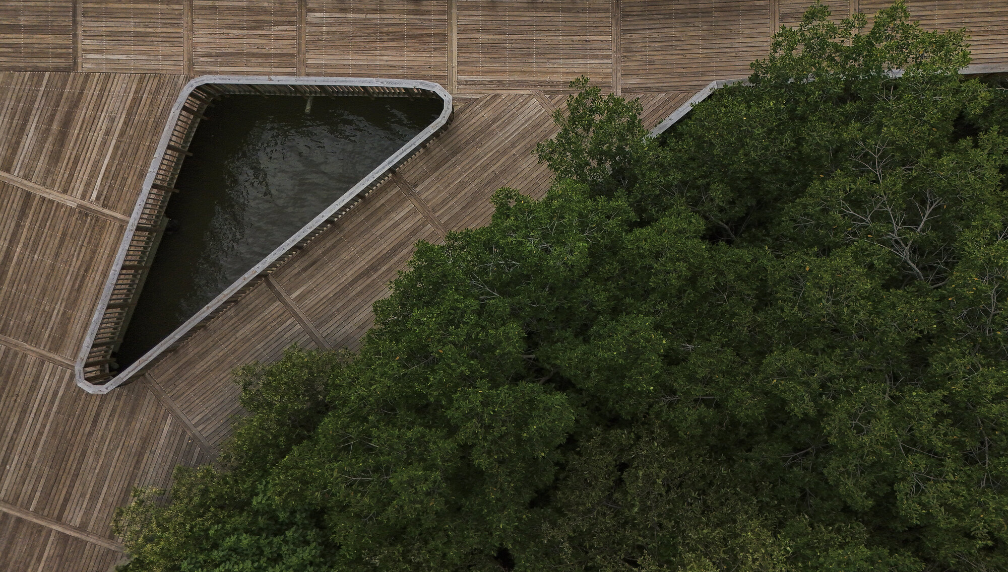 Aerial view of triangular water basin set within timber decking adjacent to dense tree canopy