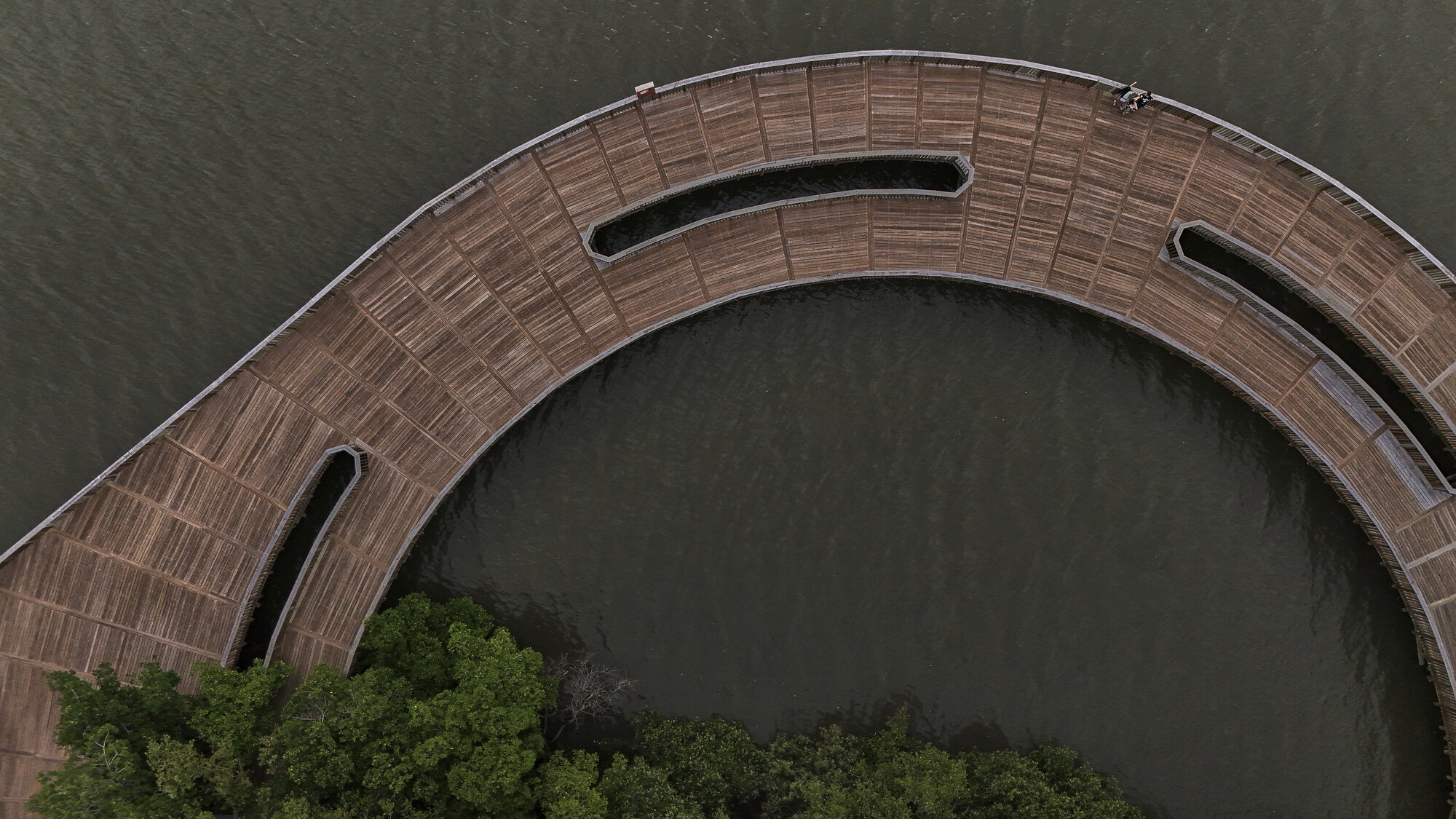 Curved timber boardwalk with elongated openings arcing over still water near vegetation