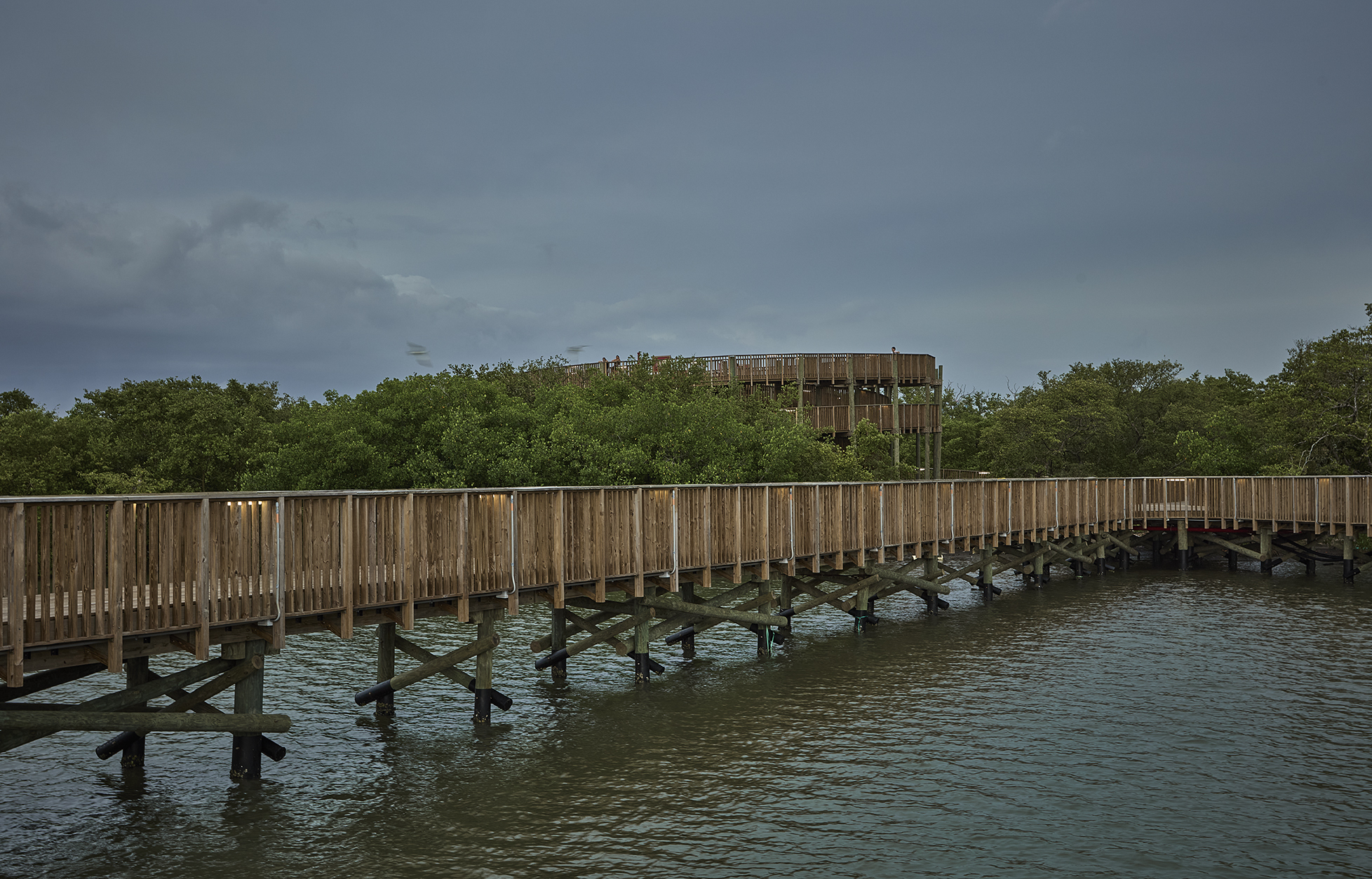 Timber pier on pilings leading through mangroves to cylindrical observation tower in cloudy weather