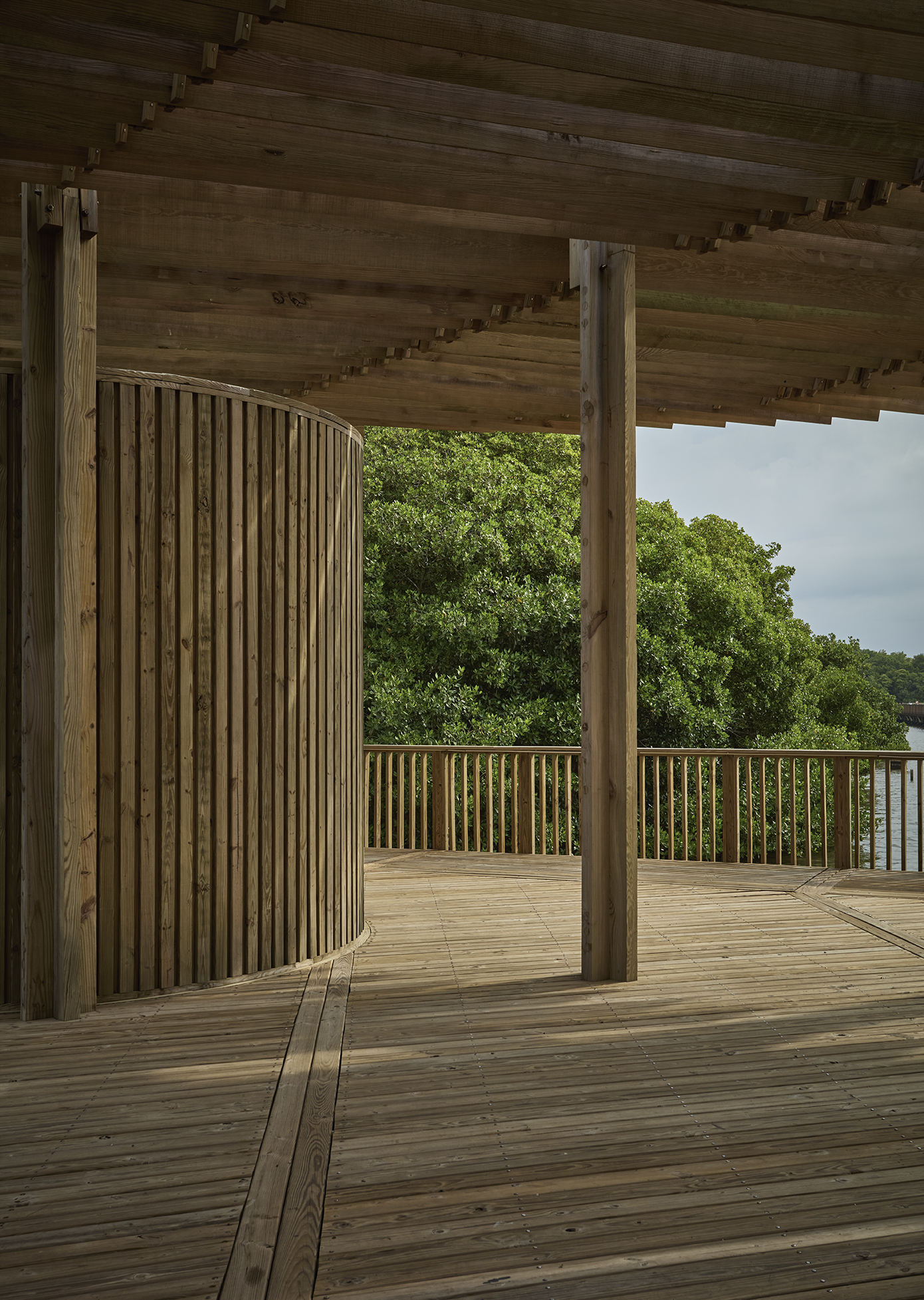 Covered timber deck with exposed joists, round columns and curved slat screen overlooking water and vegetation