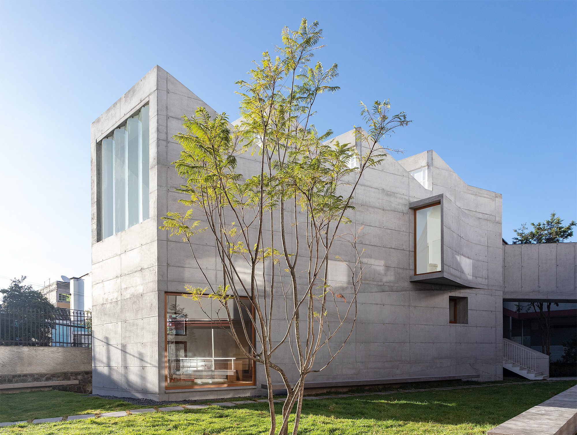 Board-formed concrete facade with a young tree in the foreground lawn under afternoon light