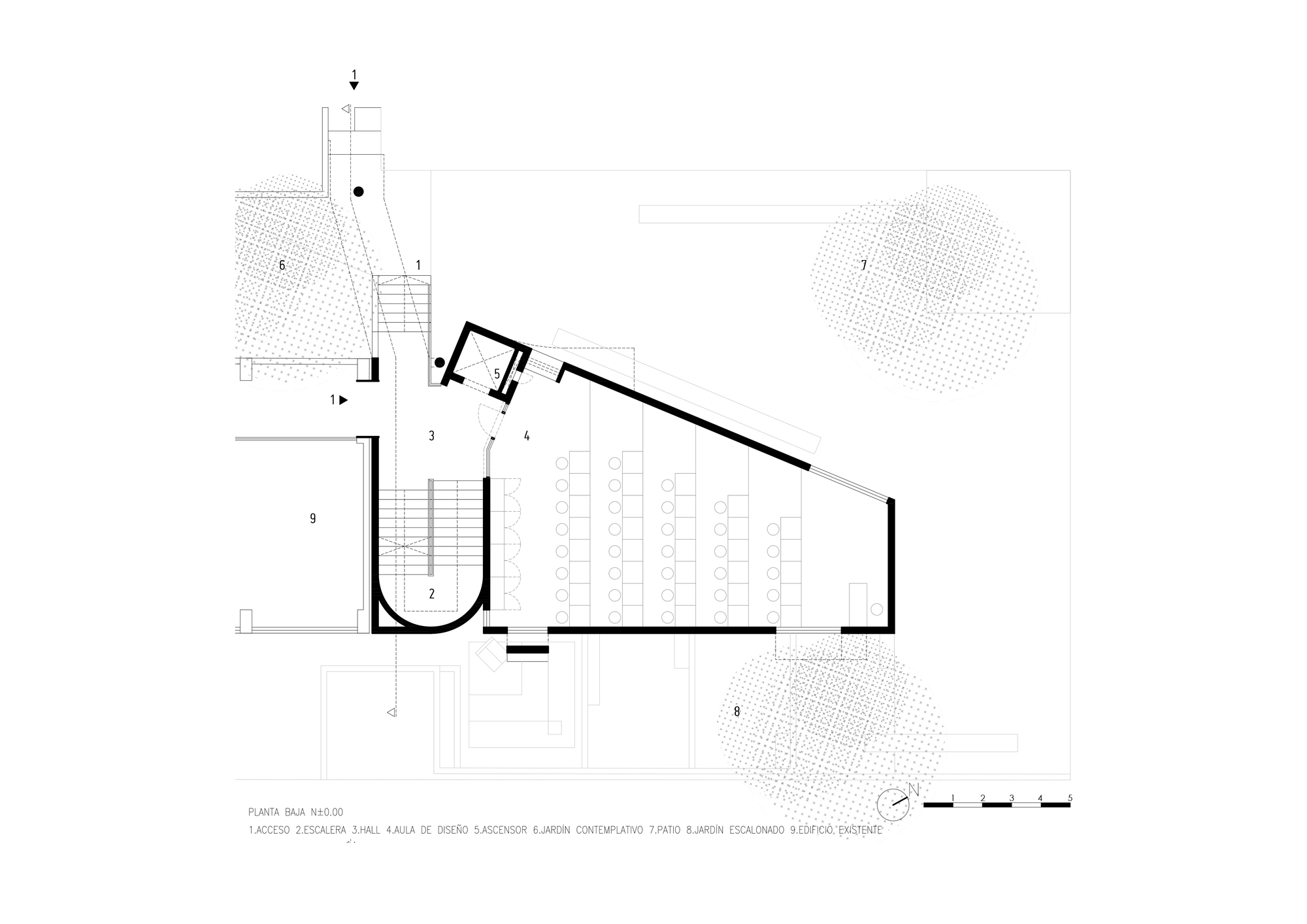 Ground floor plan drawing depicting a curved entrance stair and sloping auditorium with tree canopies