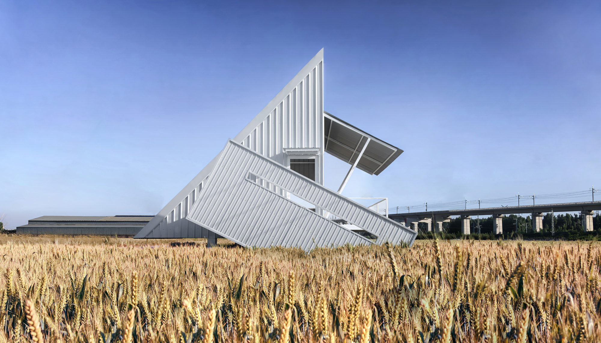 White corrugated metal pavilion with angled roof planes rising above a golden wheat field
