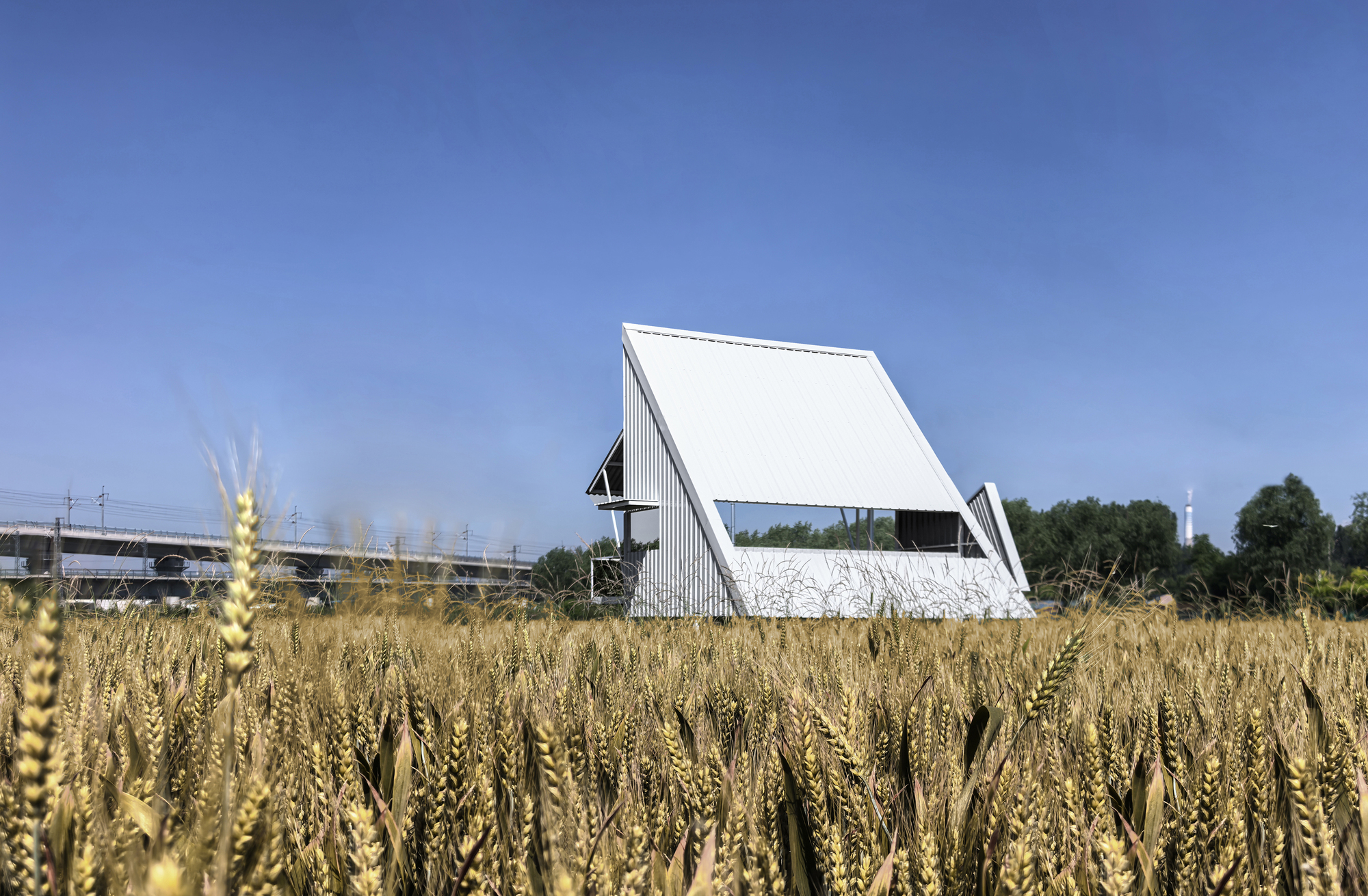 Low view across wheat stubble showing the tilted roof volumes and elevated highway beyond