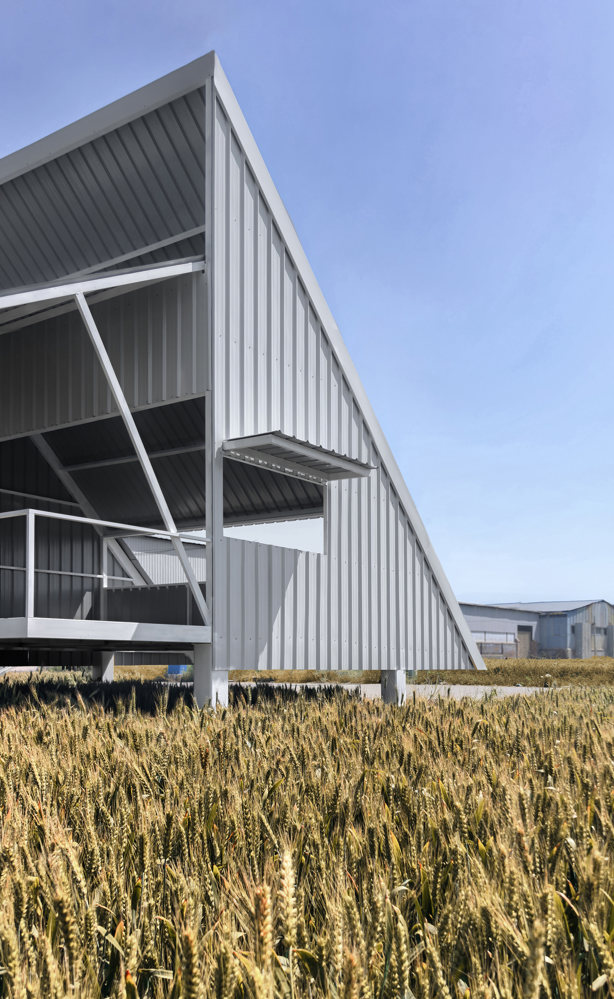 Close-up of the diagonal structural frame and corrugated metal cladding above wheat stubble