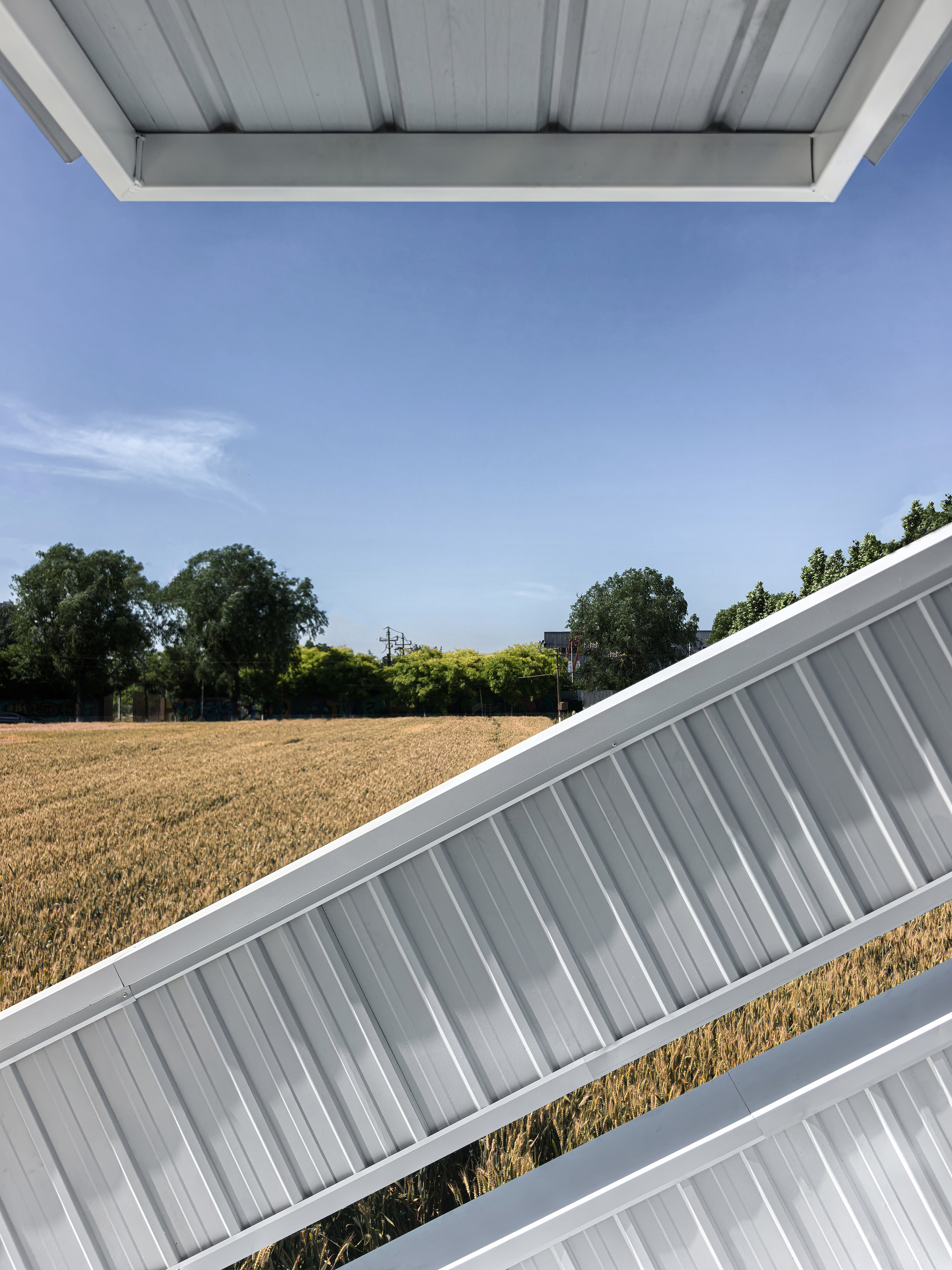View through an angular metal roof opening framing distant trees and golden grain field