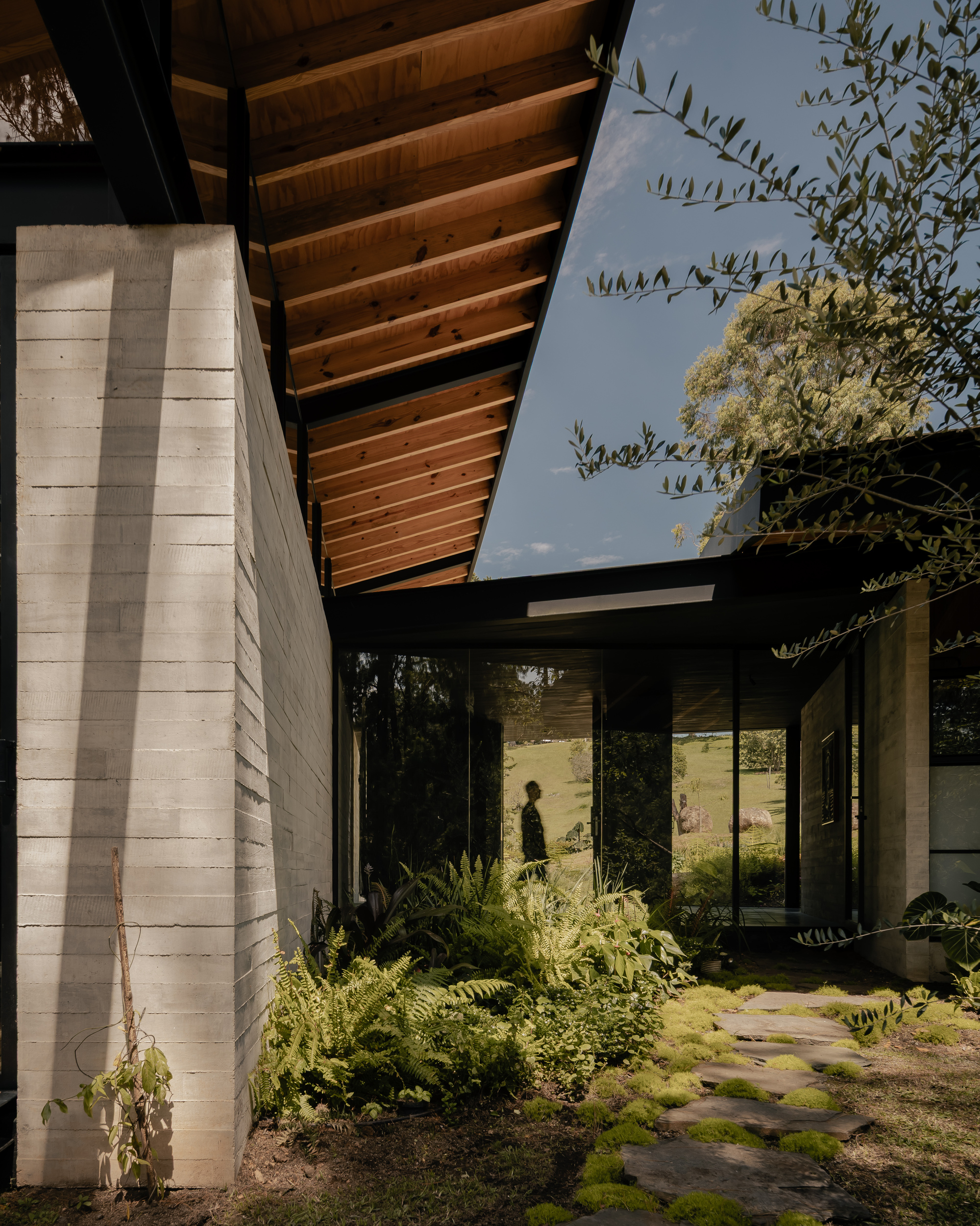 Entry path of stone pavers through planted ferns beneath exposed timber roof beams and concrete wall
