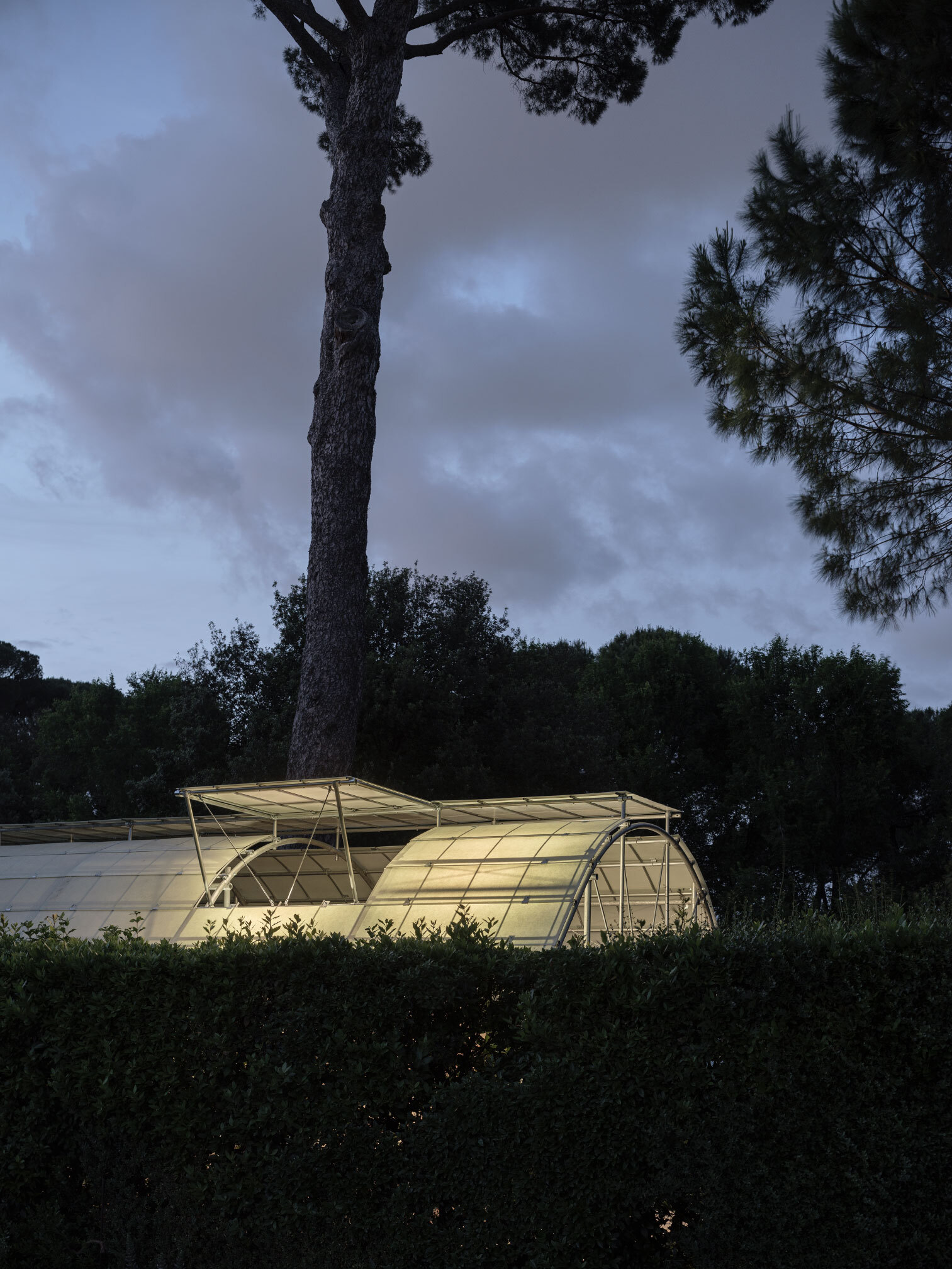 Illuminated pavilion with curved gridded canopy framed by tall pine trees under evening sky